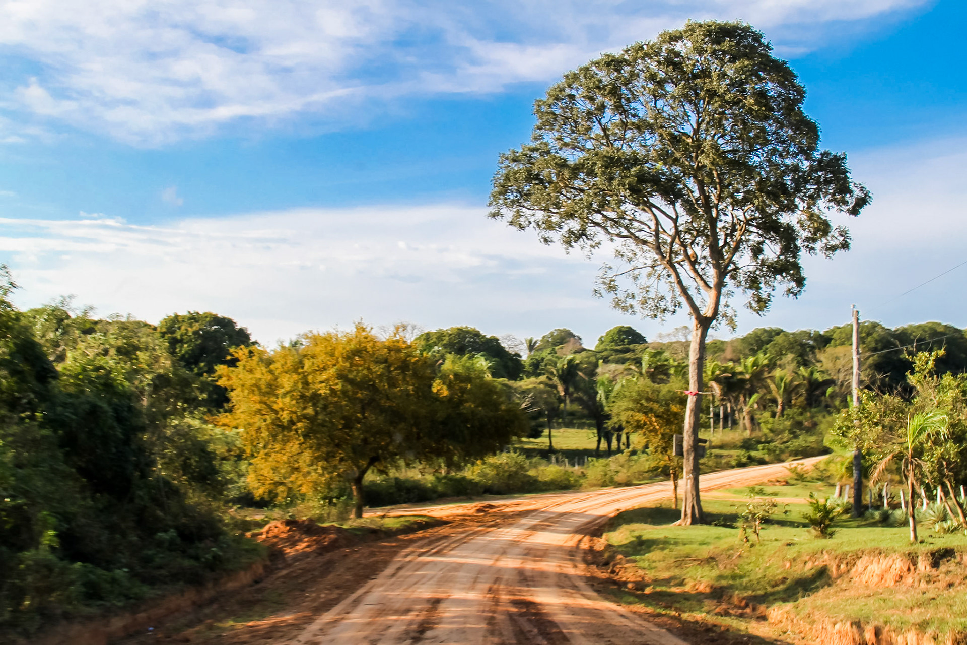 PORONGO - Road to nature...