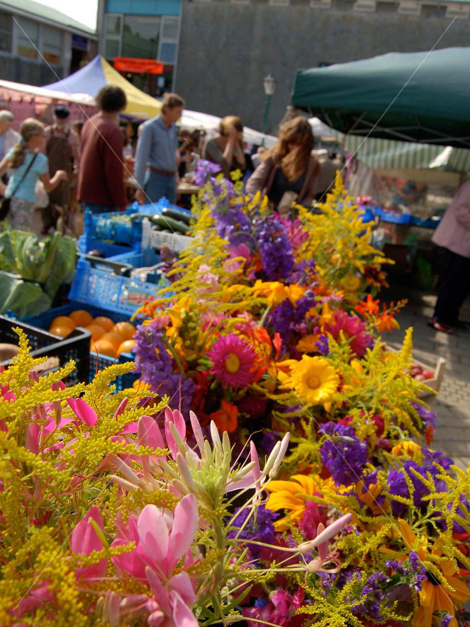 Totnes Market