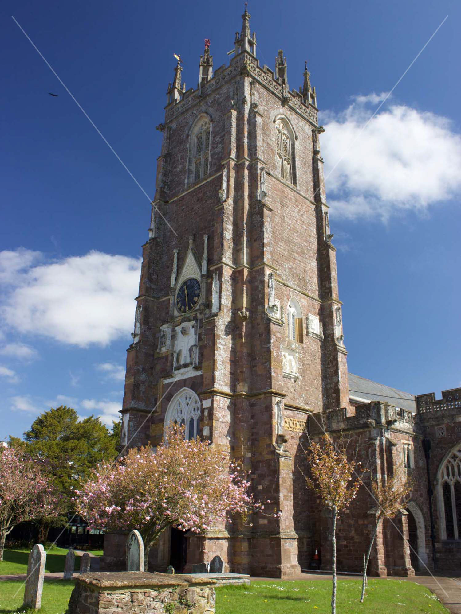 Photos of South Devon Cullompton