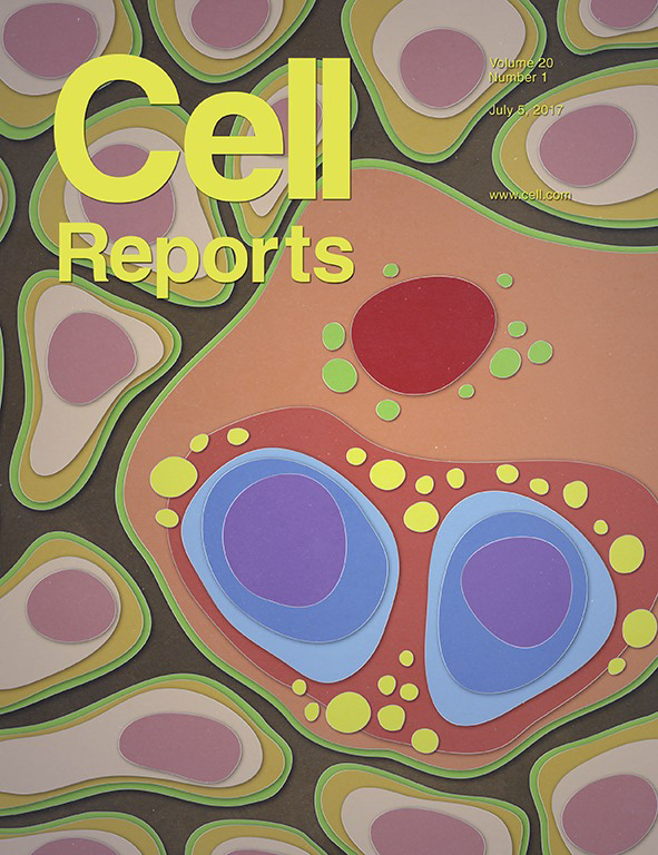 cell reports editorial illustration