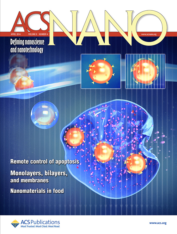 dynamic magnetic fields remote control apoptosis via nanoparticle rotation