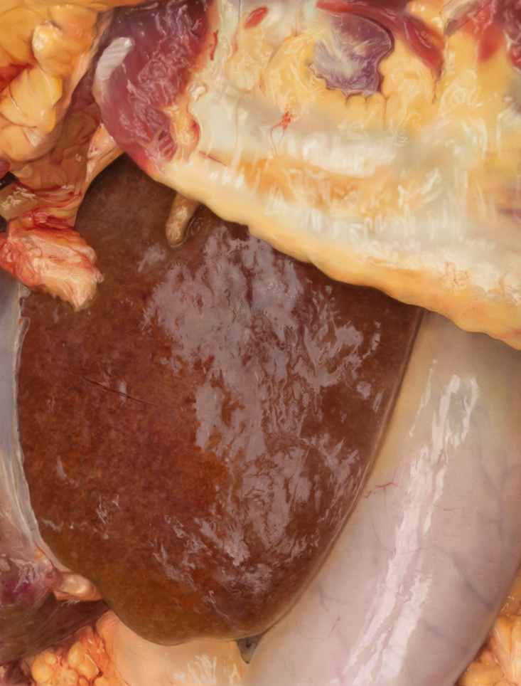 photoshop painting exercise