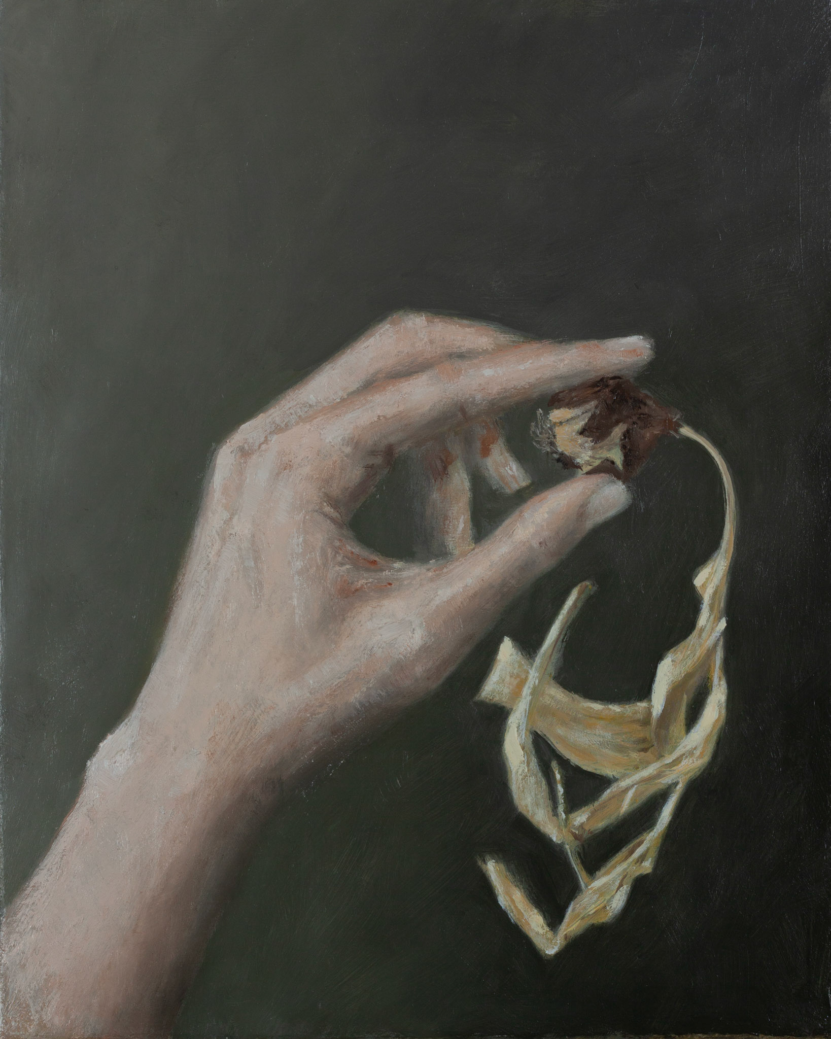 30 x 24 cm. Oil on linen