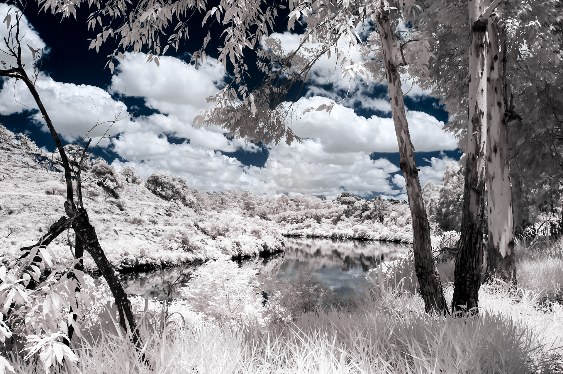 Rio Tietê - Santana de Parnaíba