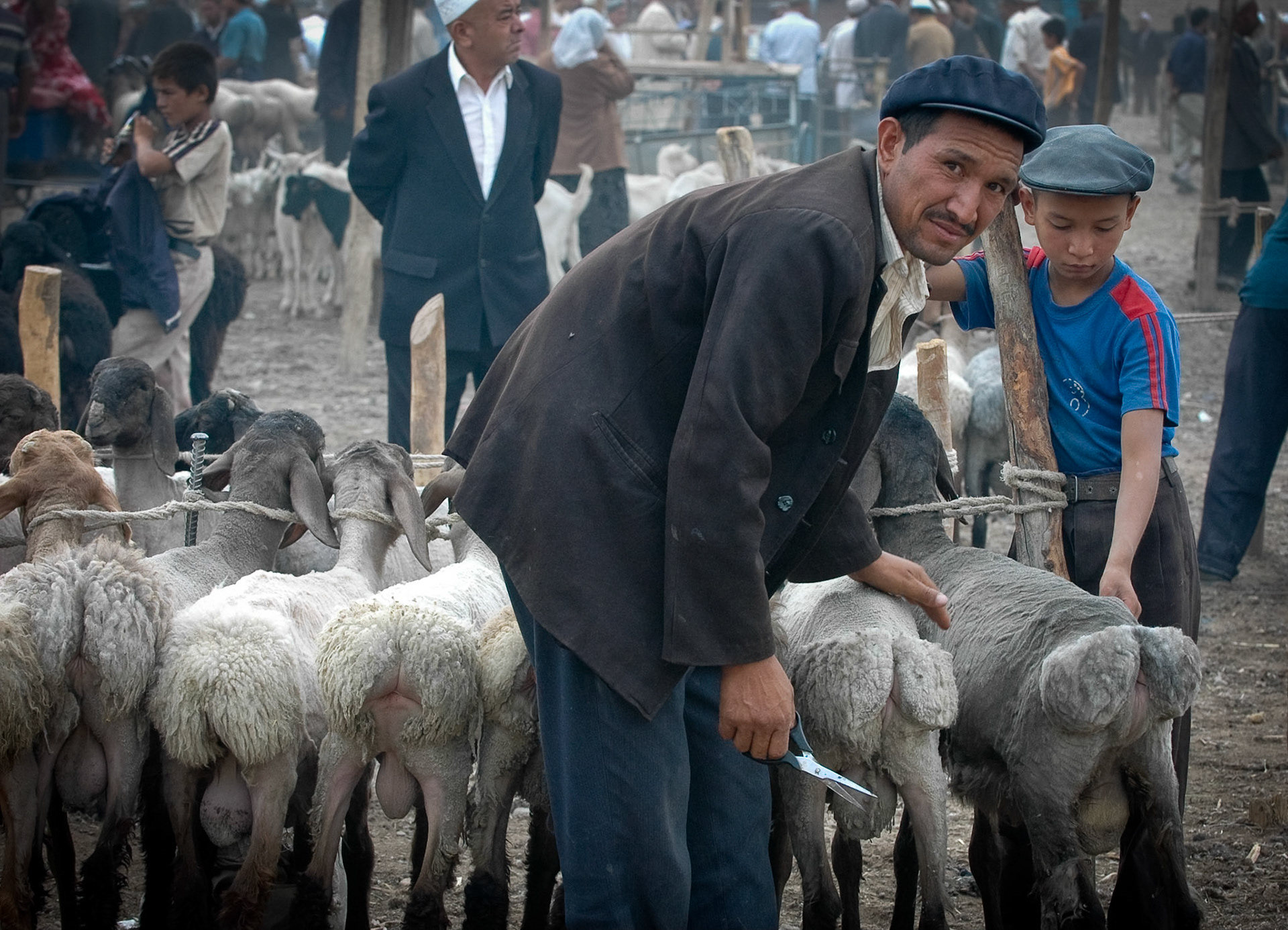 Cattlemen at Mal Bazaar (Kashgar, China)