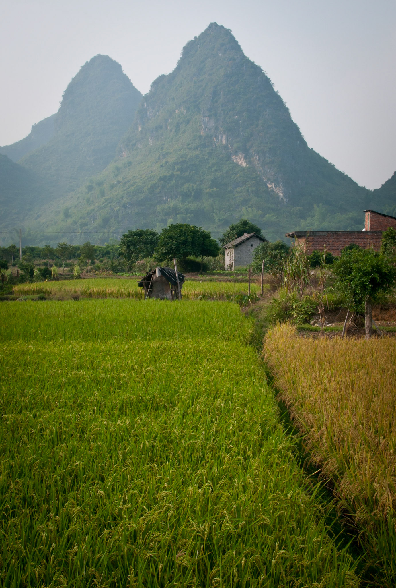 Countryside near Yangshuo (Guanxi, China)