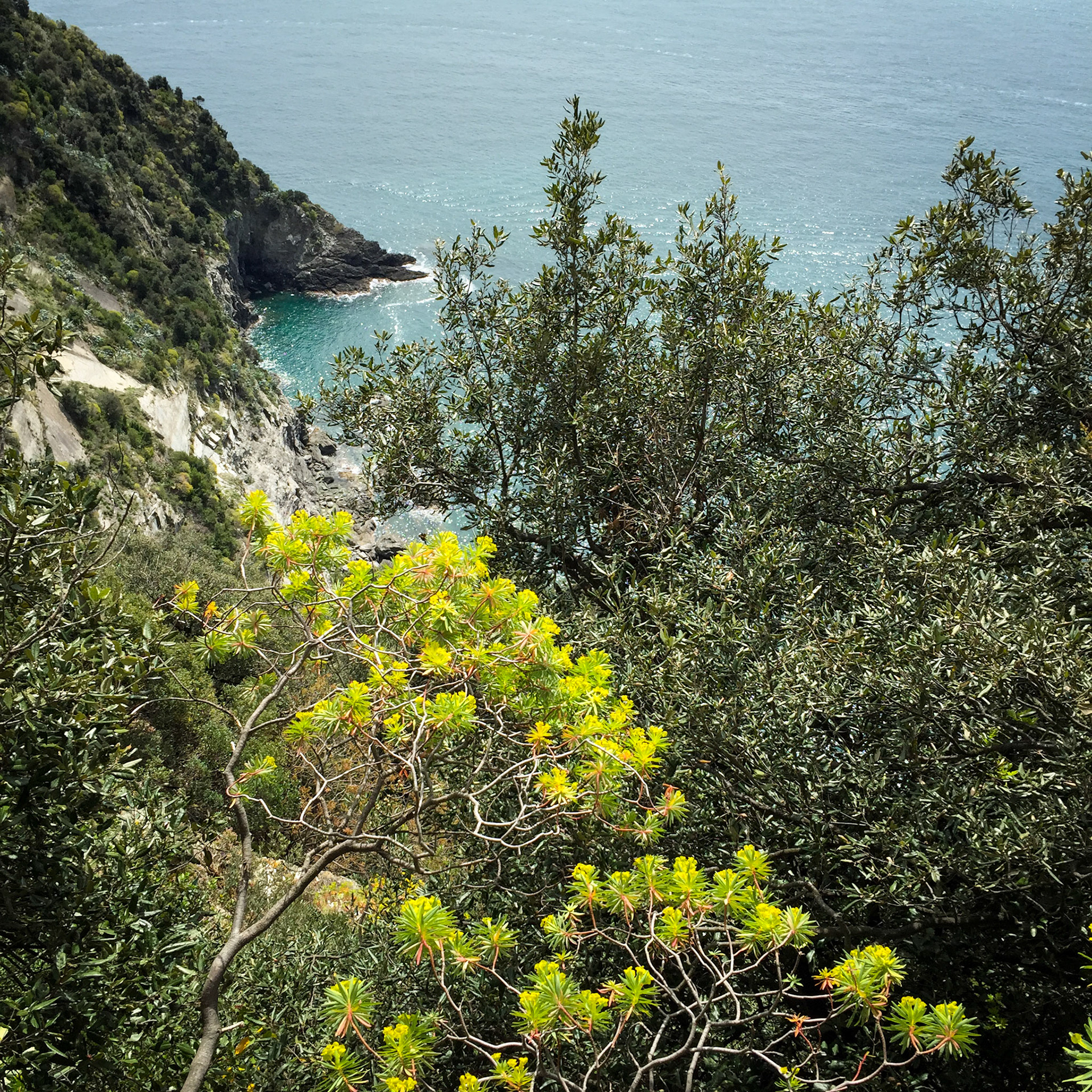 View of the sea at Cinque Terre (Liguria, Italy)
