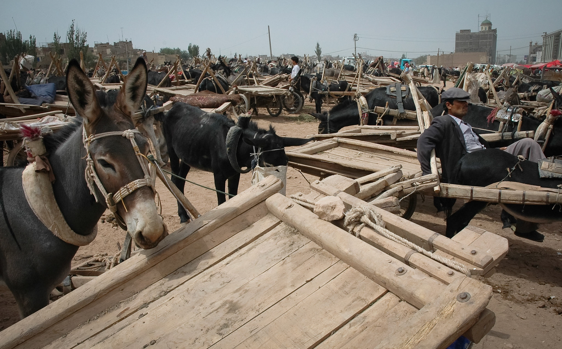 Carts outside Yam Bazaar (Kashgar, China)