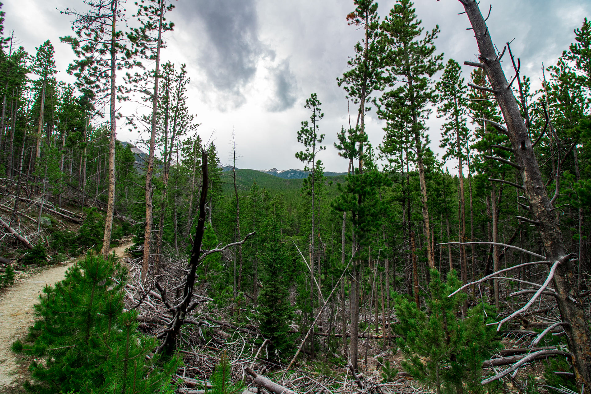 Dustin Parry Basin Lakes Trail No. 61 Red Lodge, Montana