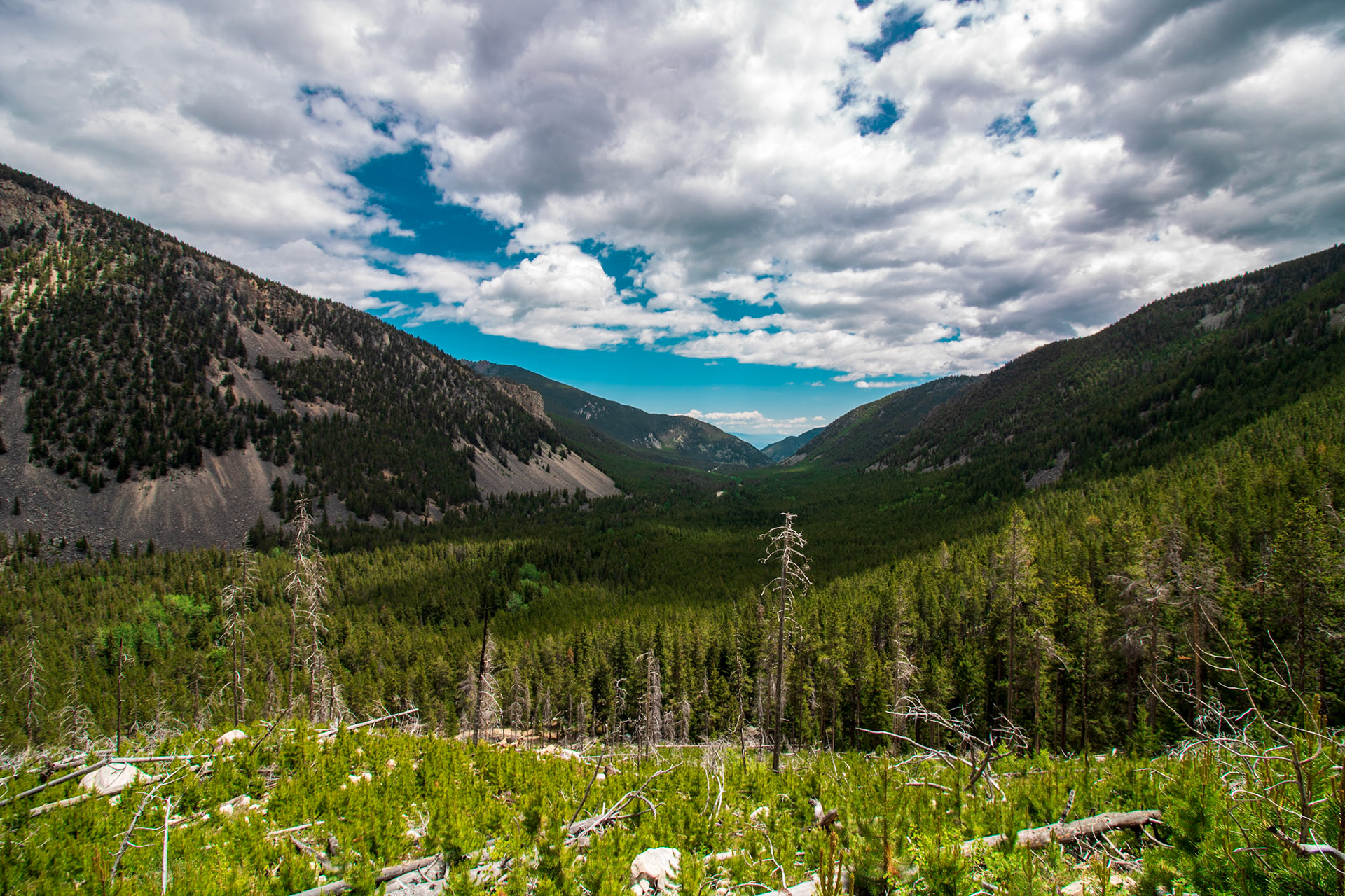 Dustin Parry Basin Lakes Trail No. 61 Red Lodge, Montana