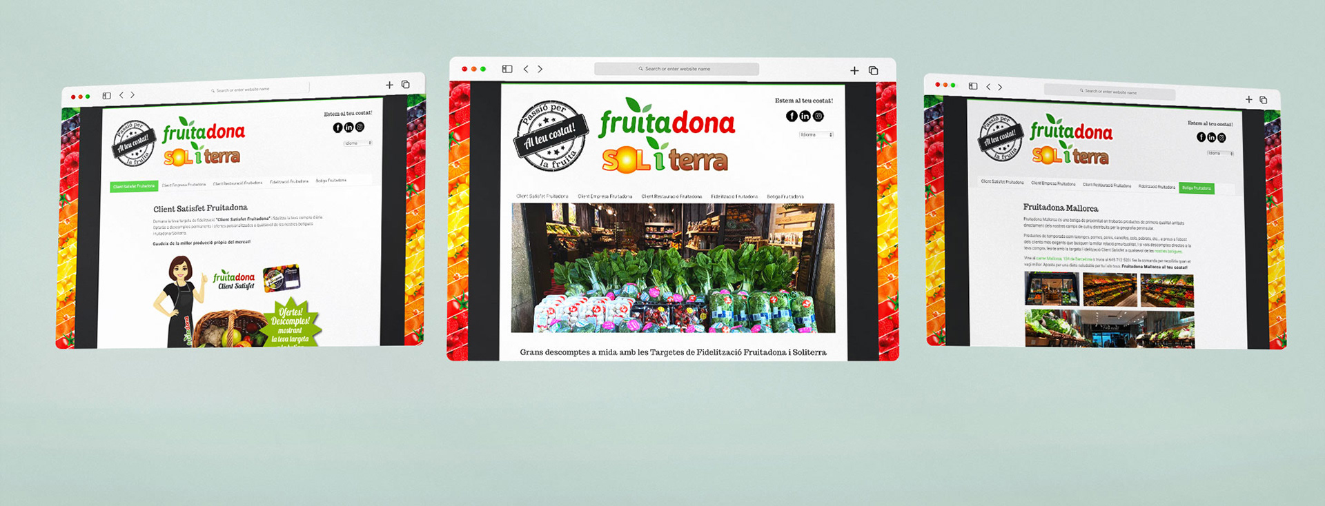 Diseño y Programación Web Fruitadona y SoliTerra