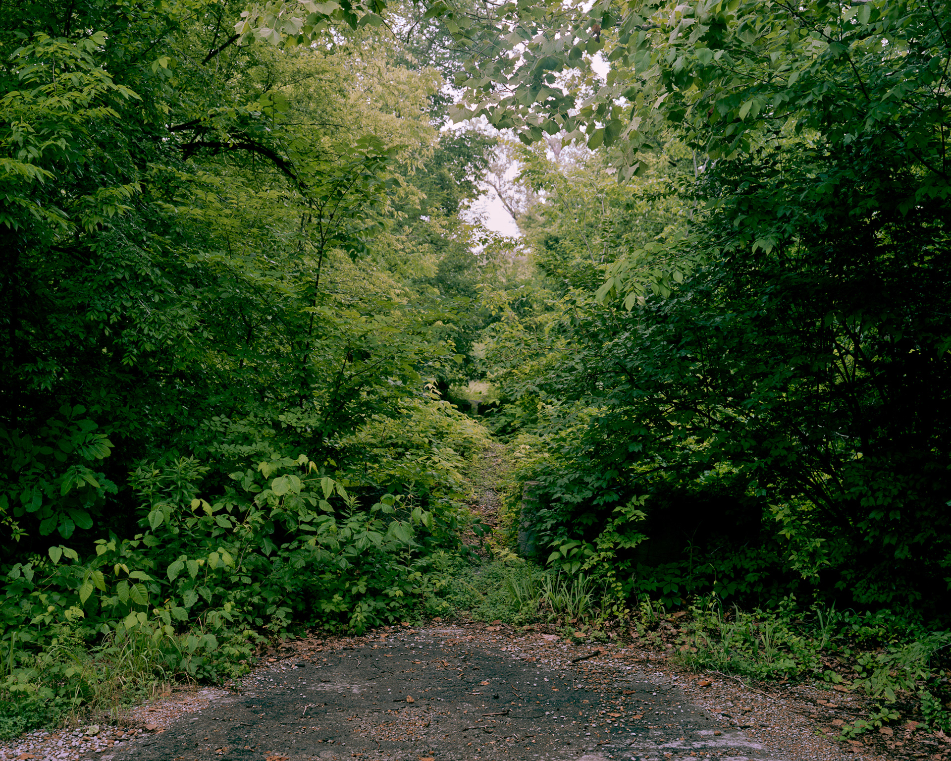 Roadblock, Nuclear Contamination Site, WMA, Kentucky