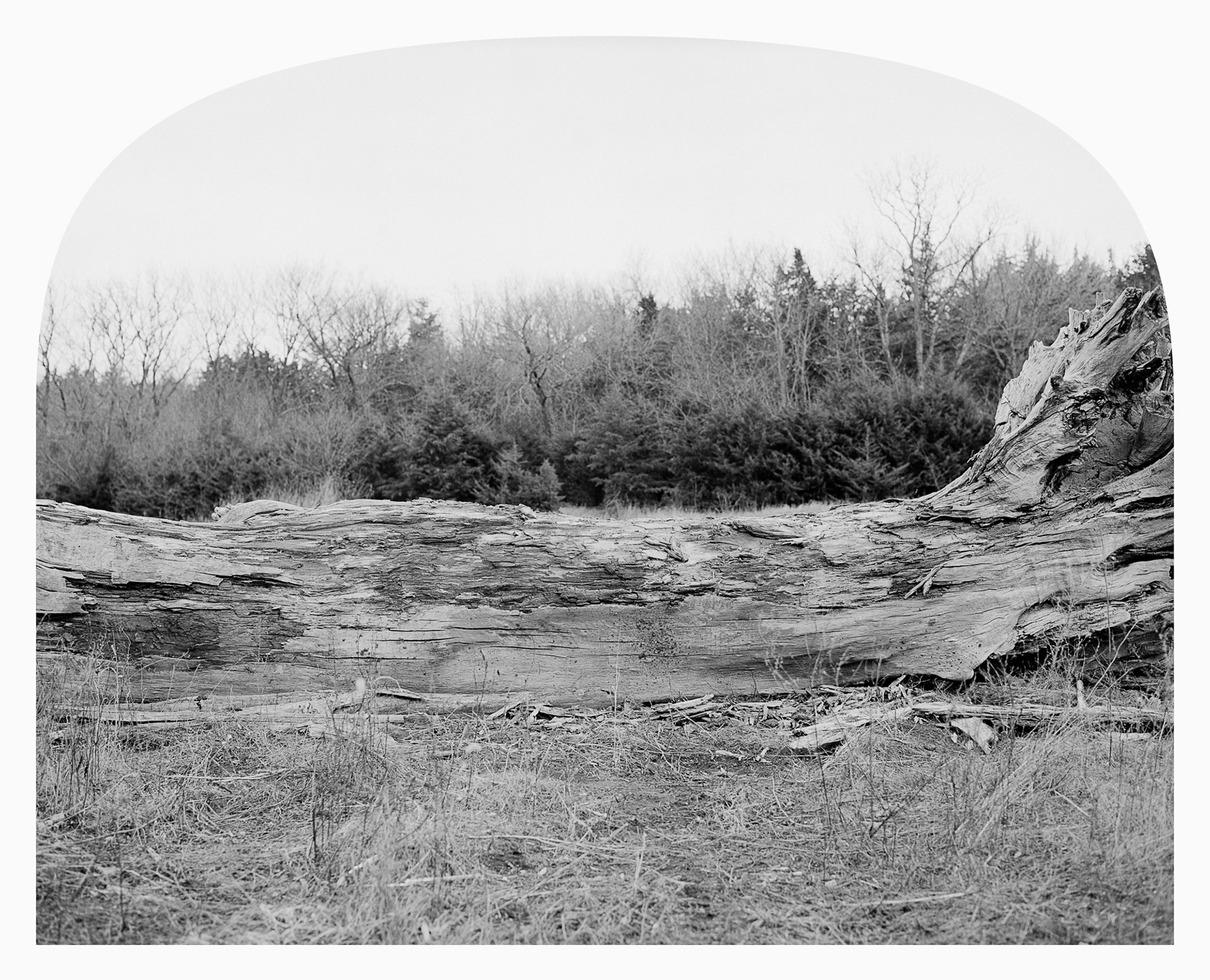 Fallen, Randolph ORV Area, Kansas