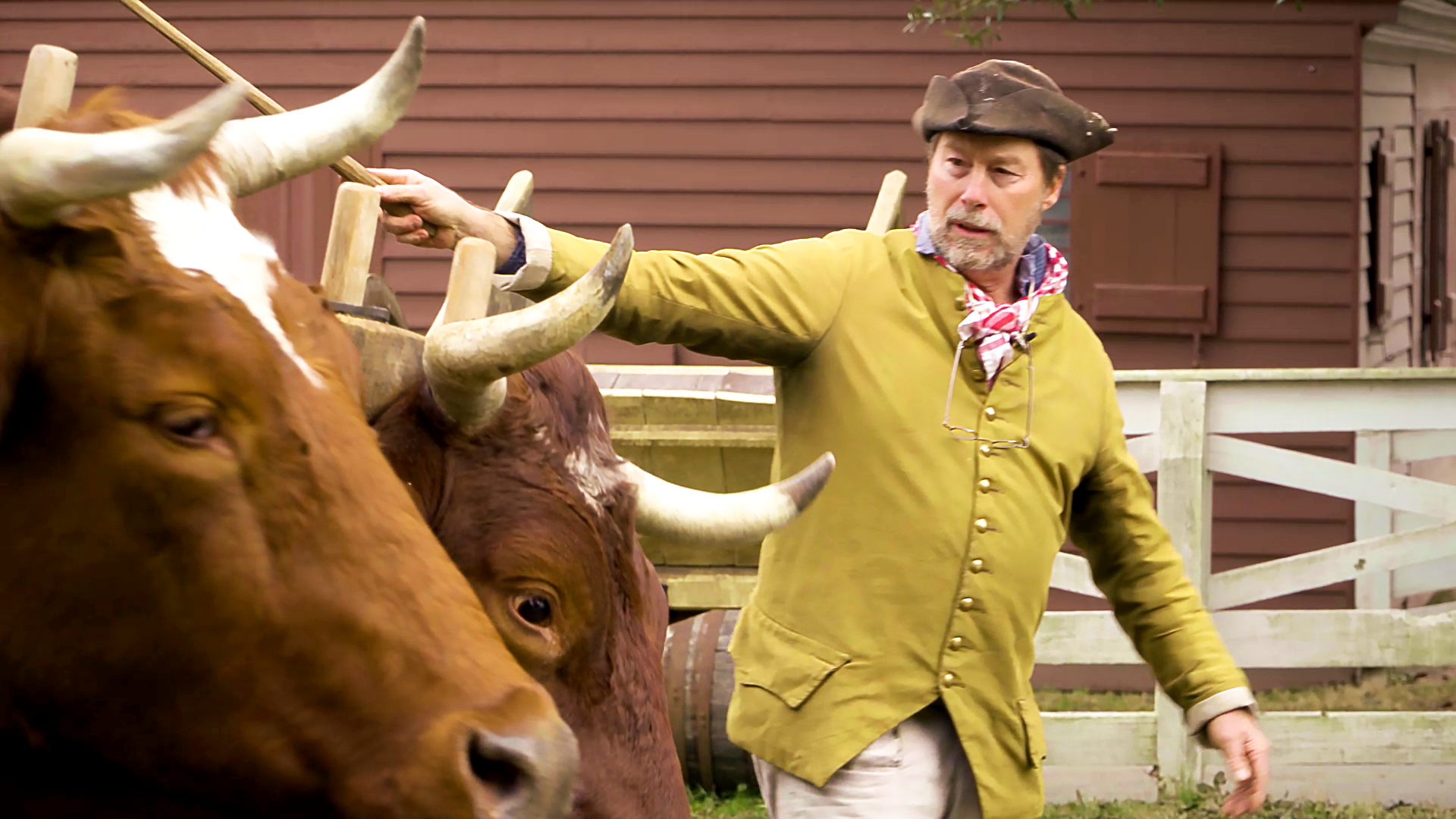 "Breaking Oxen" - CWF