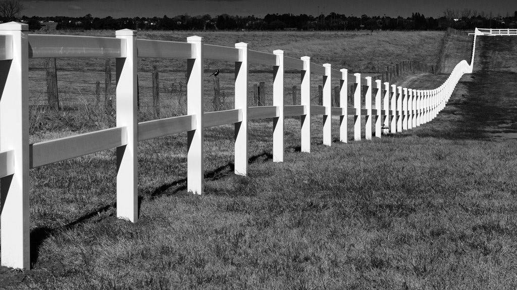 Richmond Lowlands, NSW.