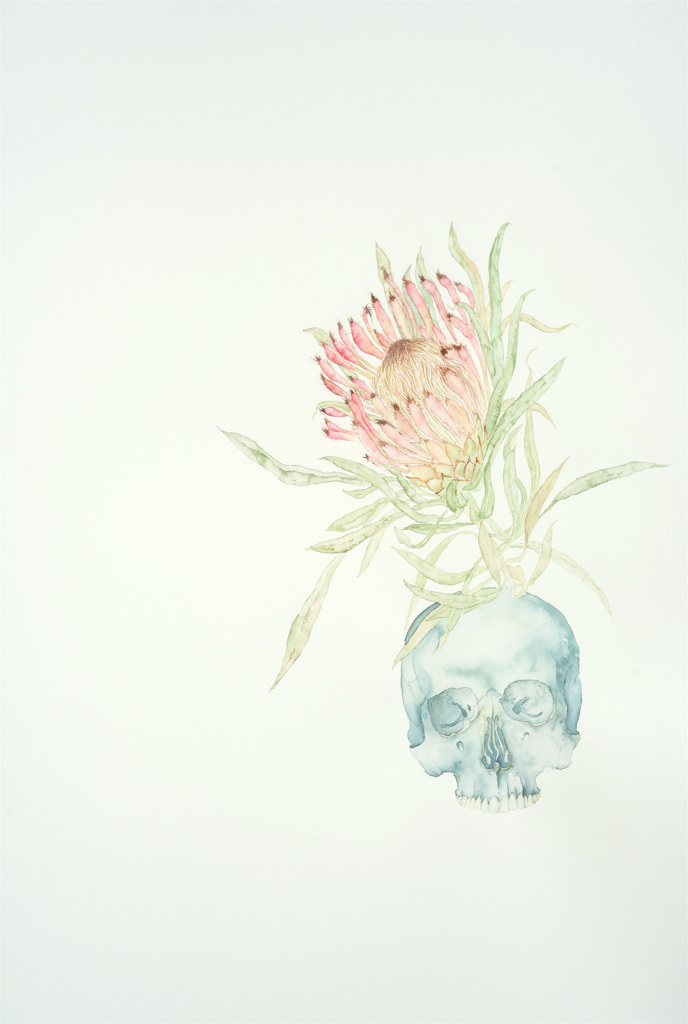 Blue Banksia, Watercolor on Arches paper 40 x 28 in.
