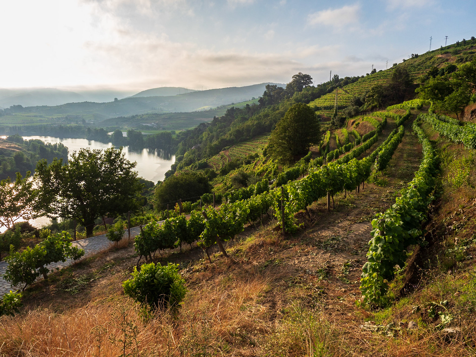 Douro River Valley