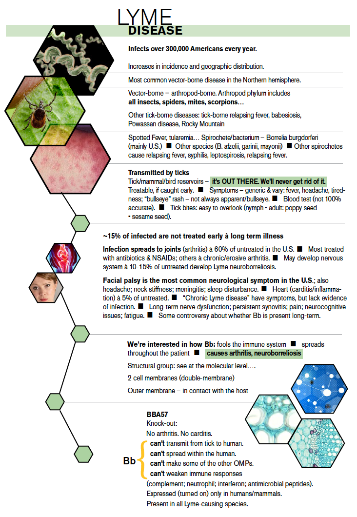 drawing figures for scientific papers