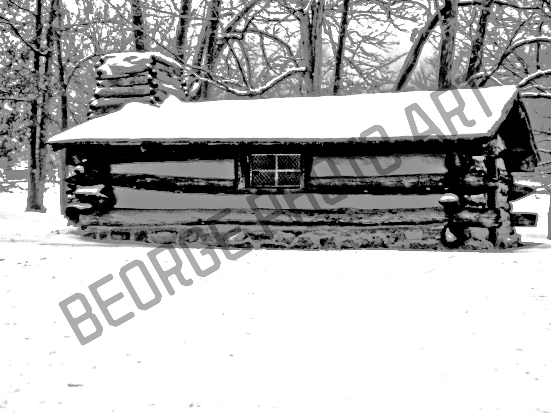 Revolutionary Winter Cabin                  