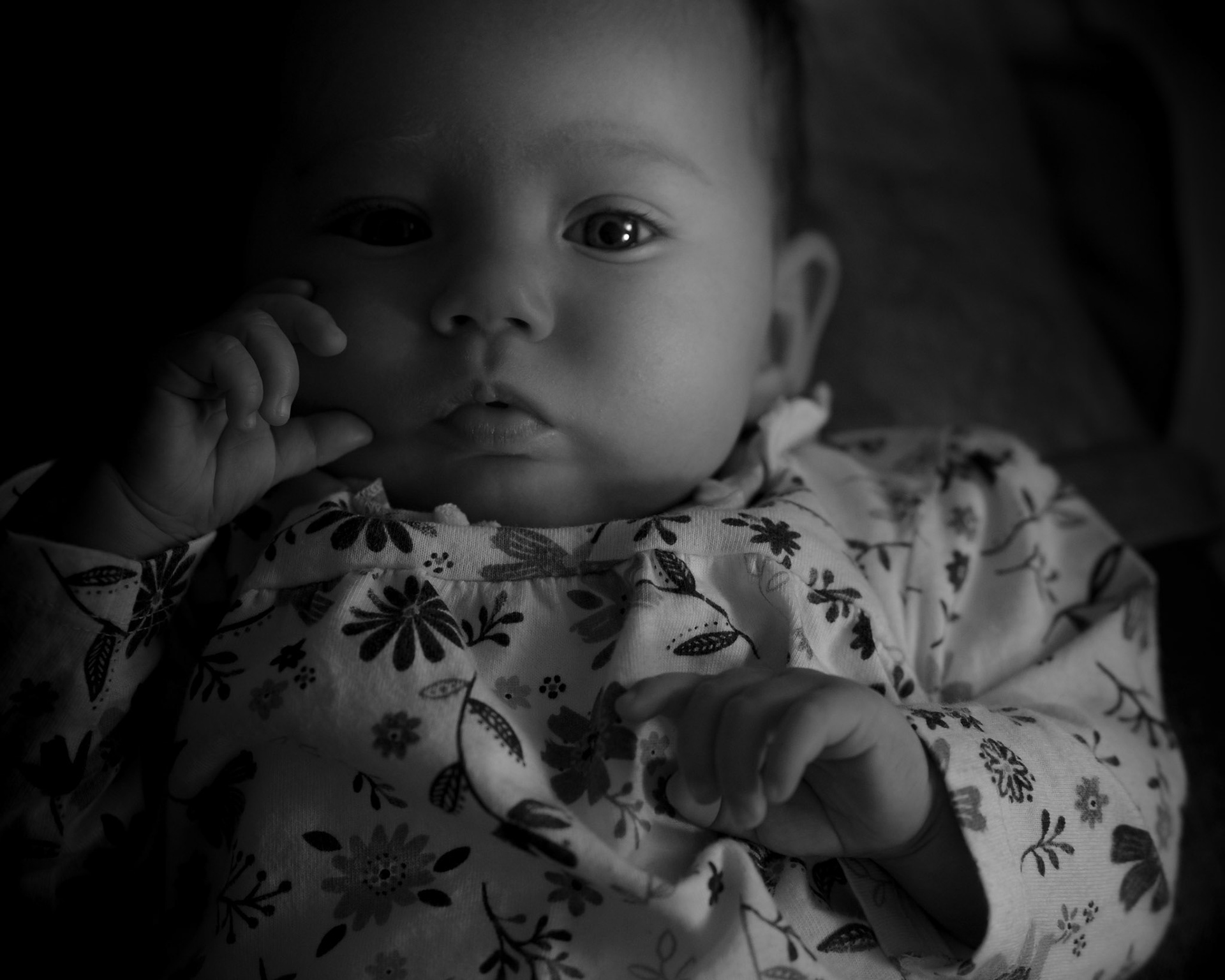 Newborn / Baby Photography