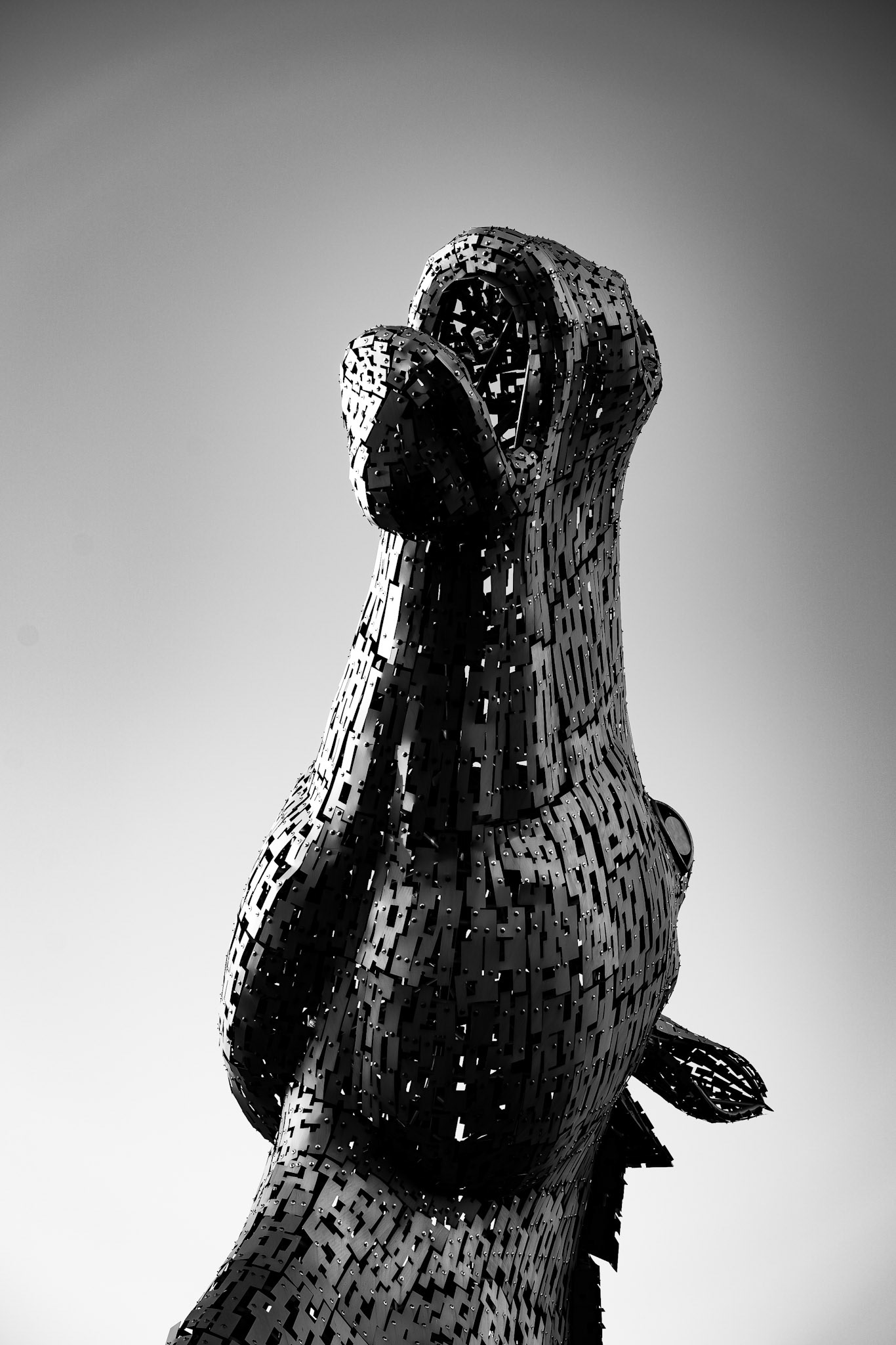 Kelpies - Landscape Photography