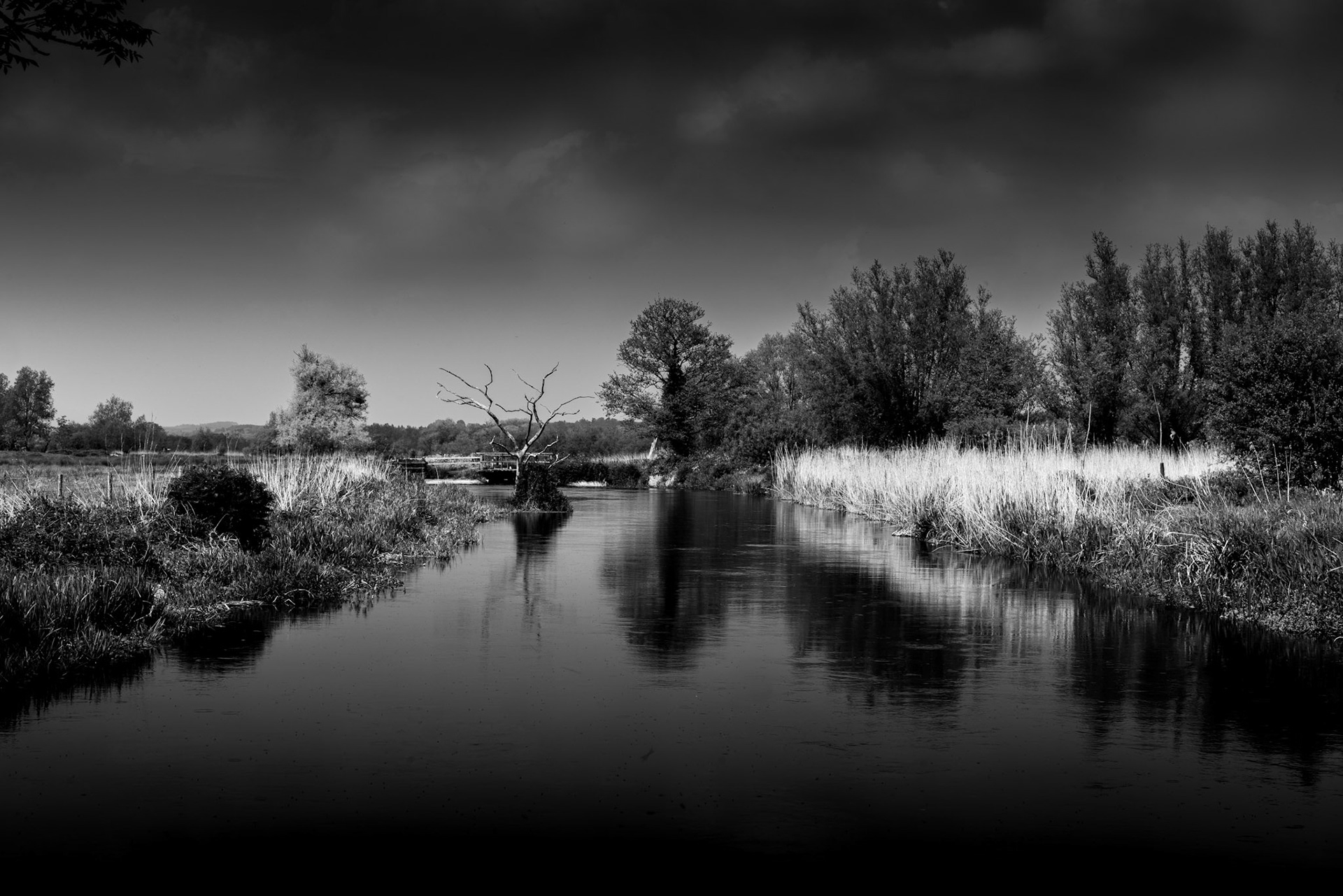 River Avon Downton - Black & White Landscape Photography