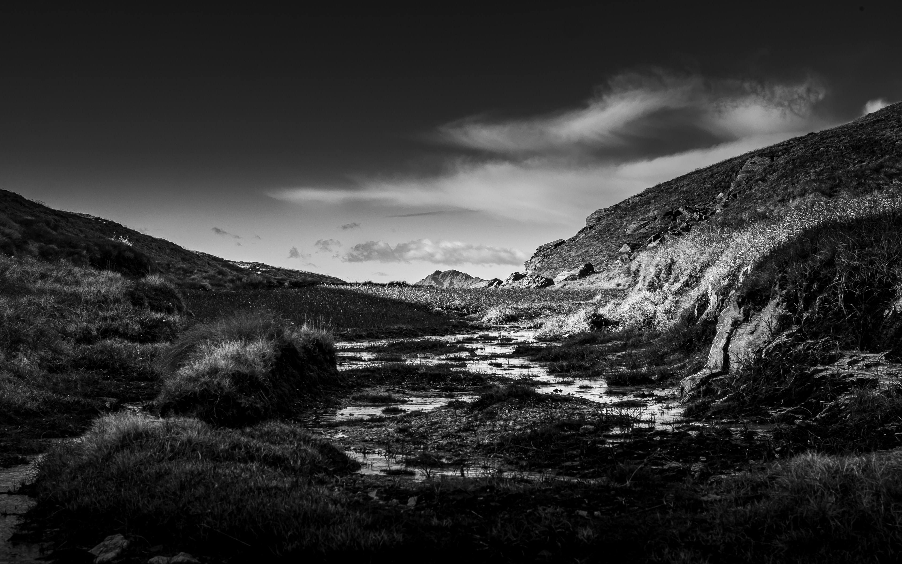 Nature & Landscape Photography