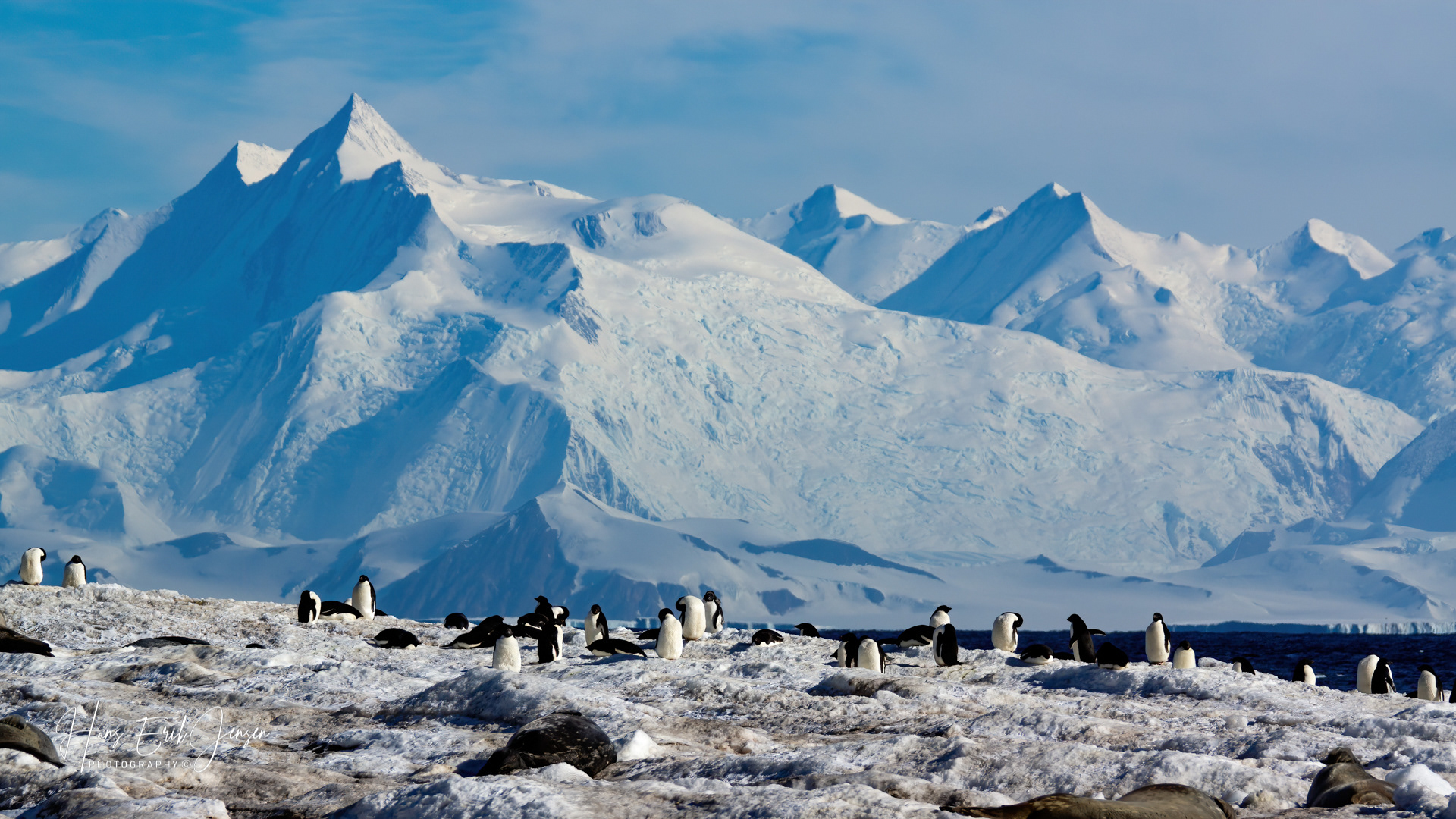 Antarctica 6
