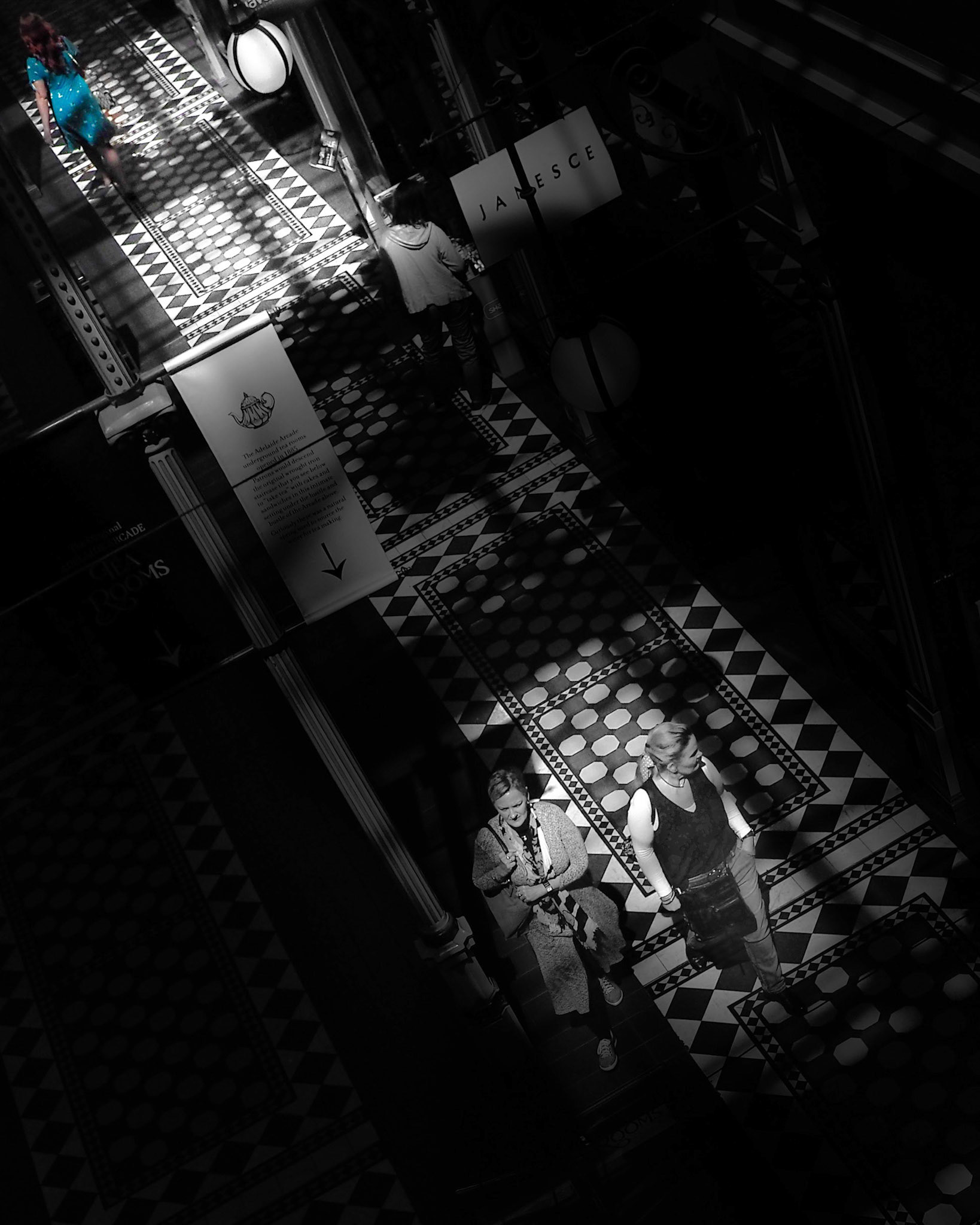 Birds Eye