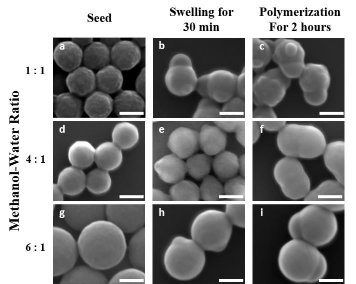 SEM images of particle morphology evolution during a seeded emulsion polymerization: (a-c) seed synthesized with methanol-water 1:1; (d-f) seed synthesized with methanol-water 4:1; (g-i) seed synthesized with methanol-water 6:1. Scale bar is 200 nm. 