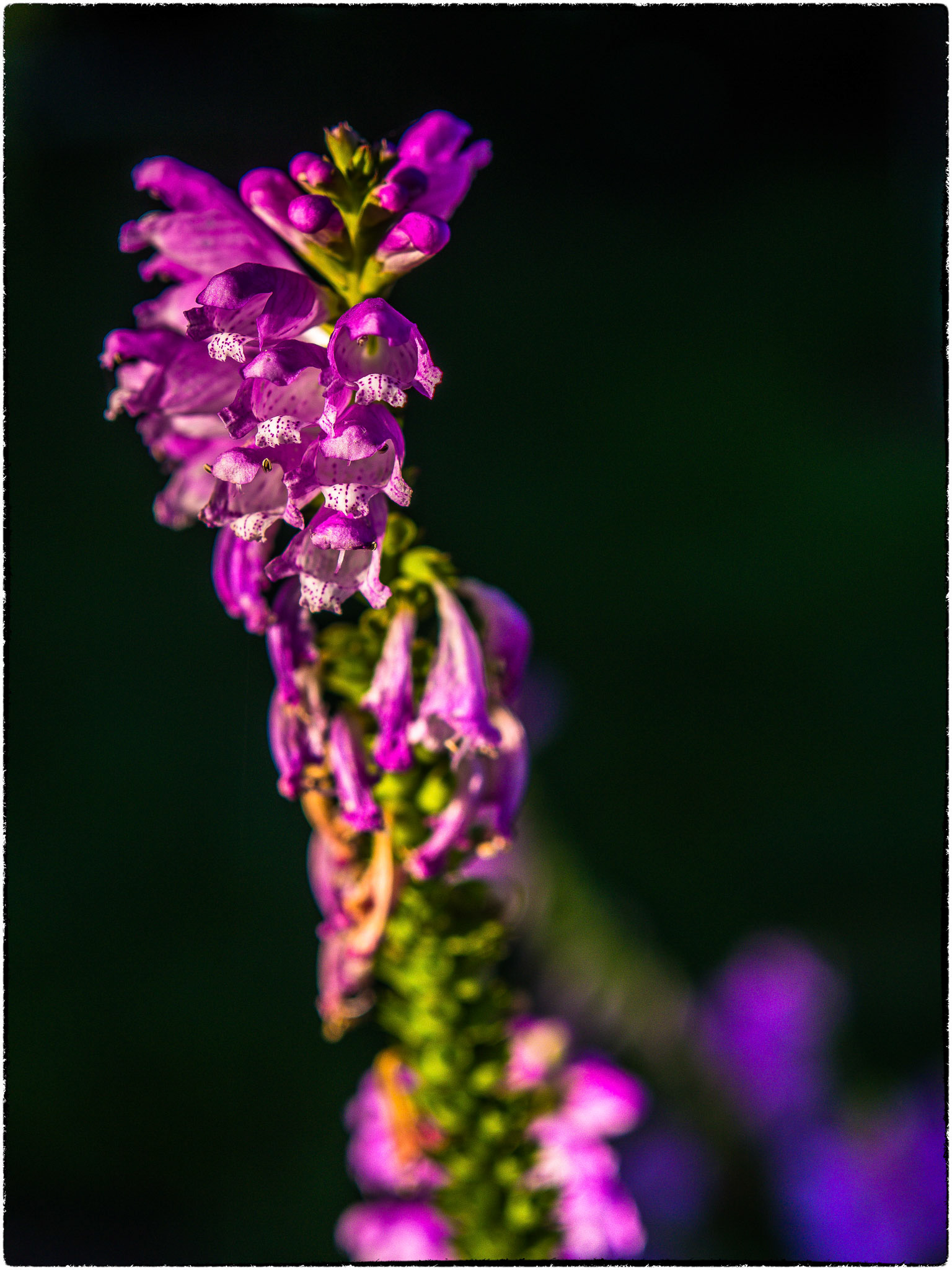 Standing up for colour