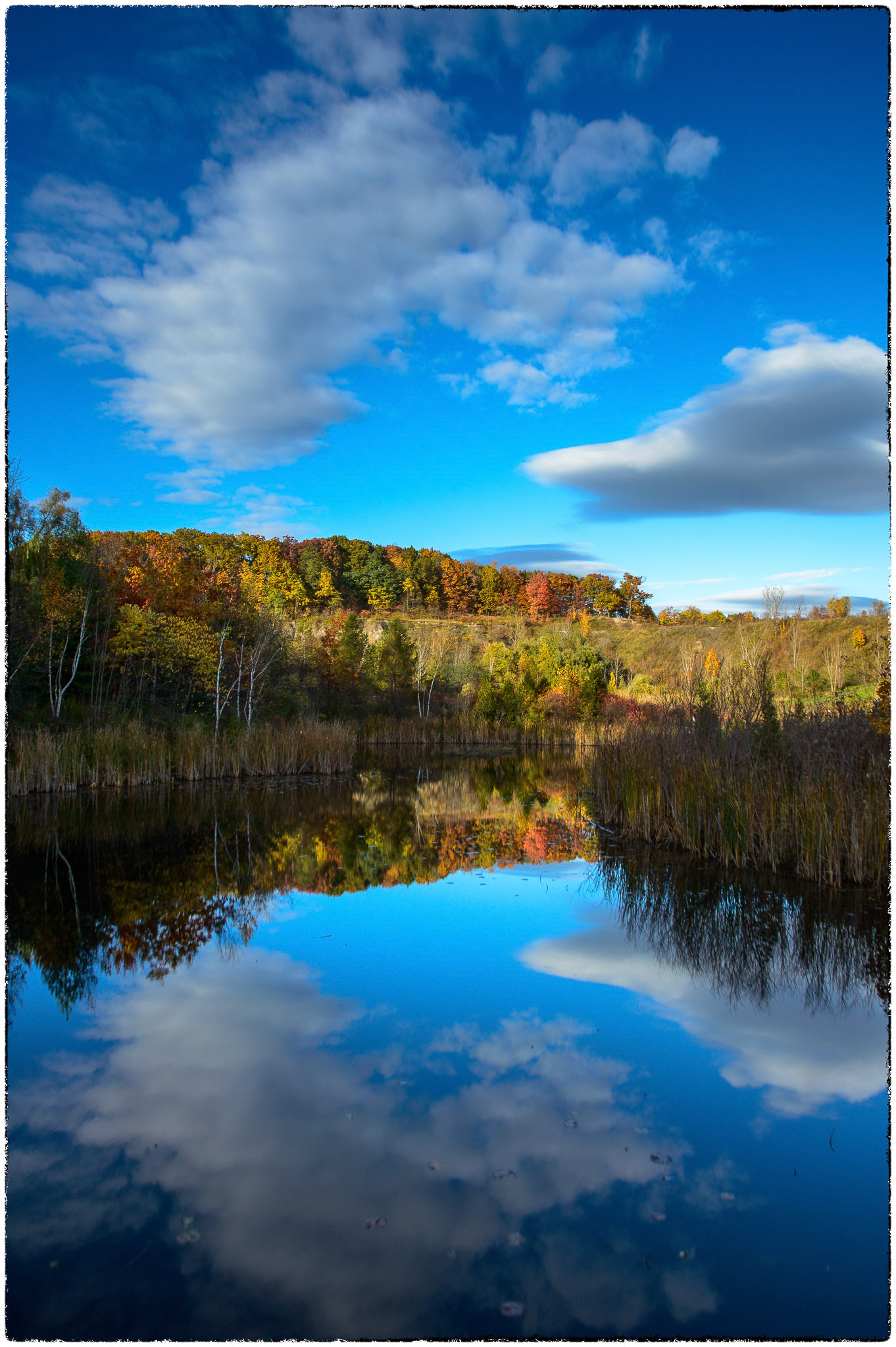 Colourful fall on the Bluffs, between blue water and blue sky