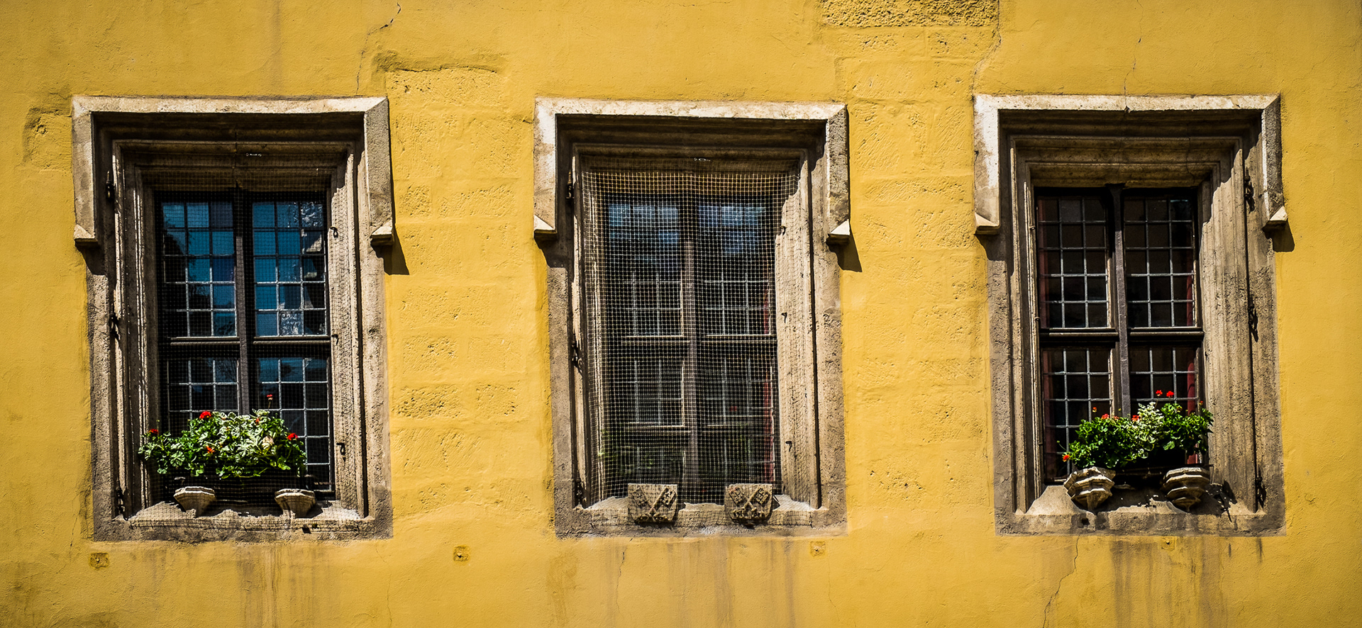 Windows and Flower Pots