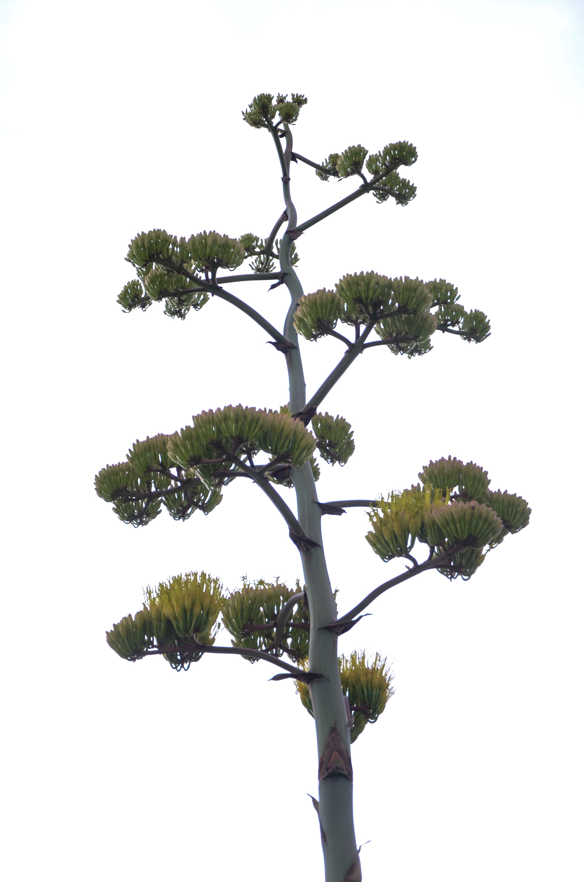 Digital Photography, training with Elizabeth Galecke