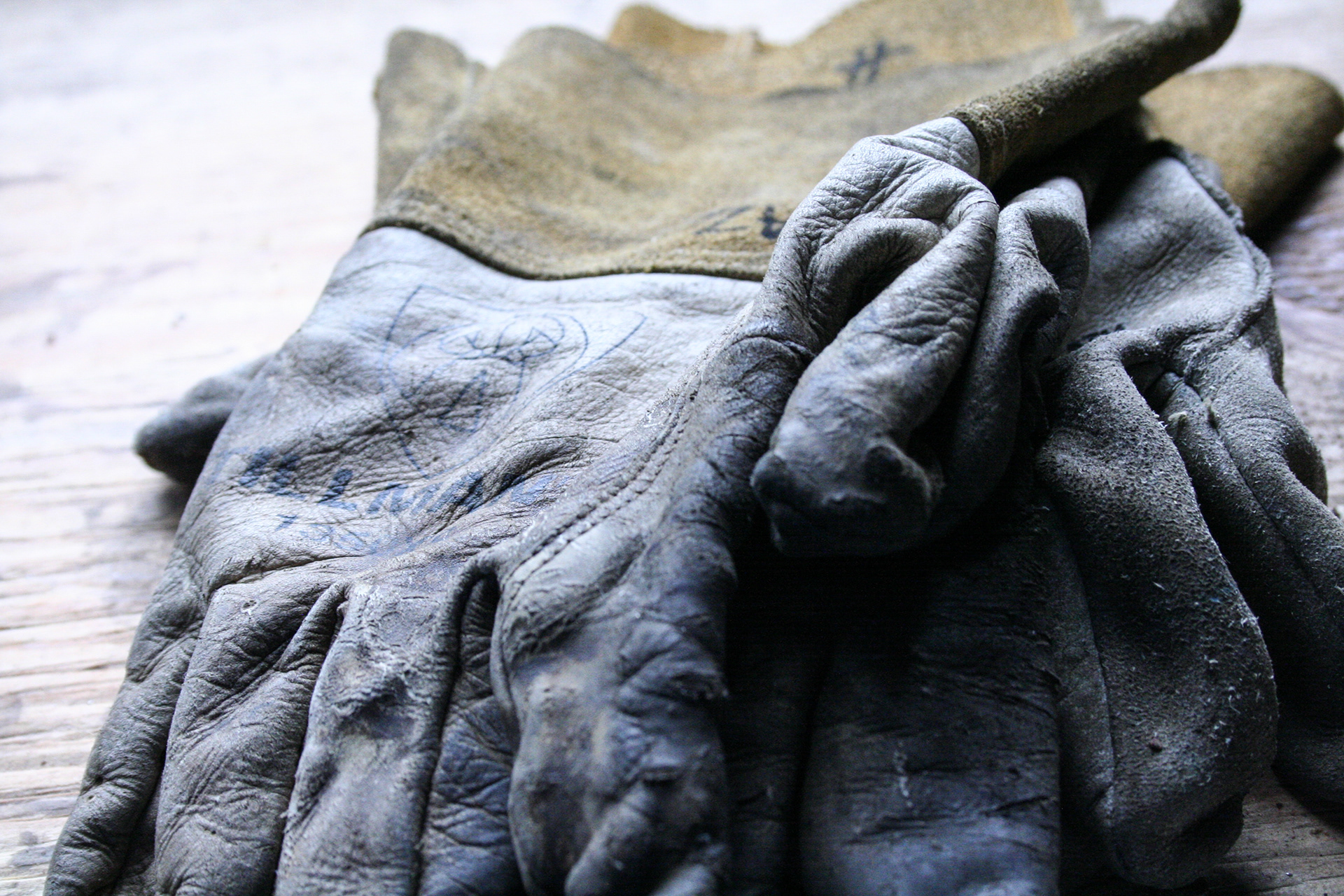 Digital Photography, training with Elizabeth Galecke