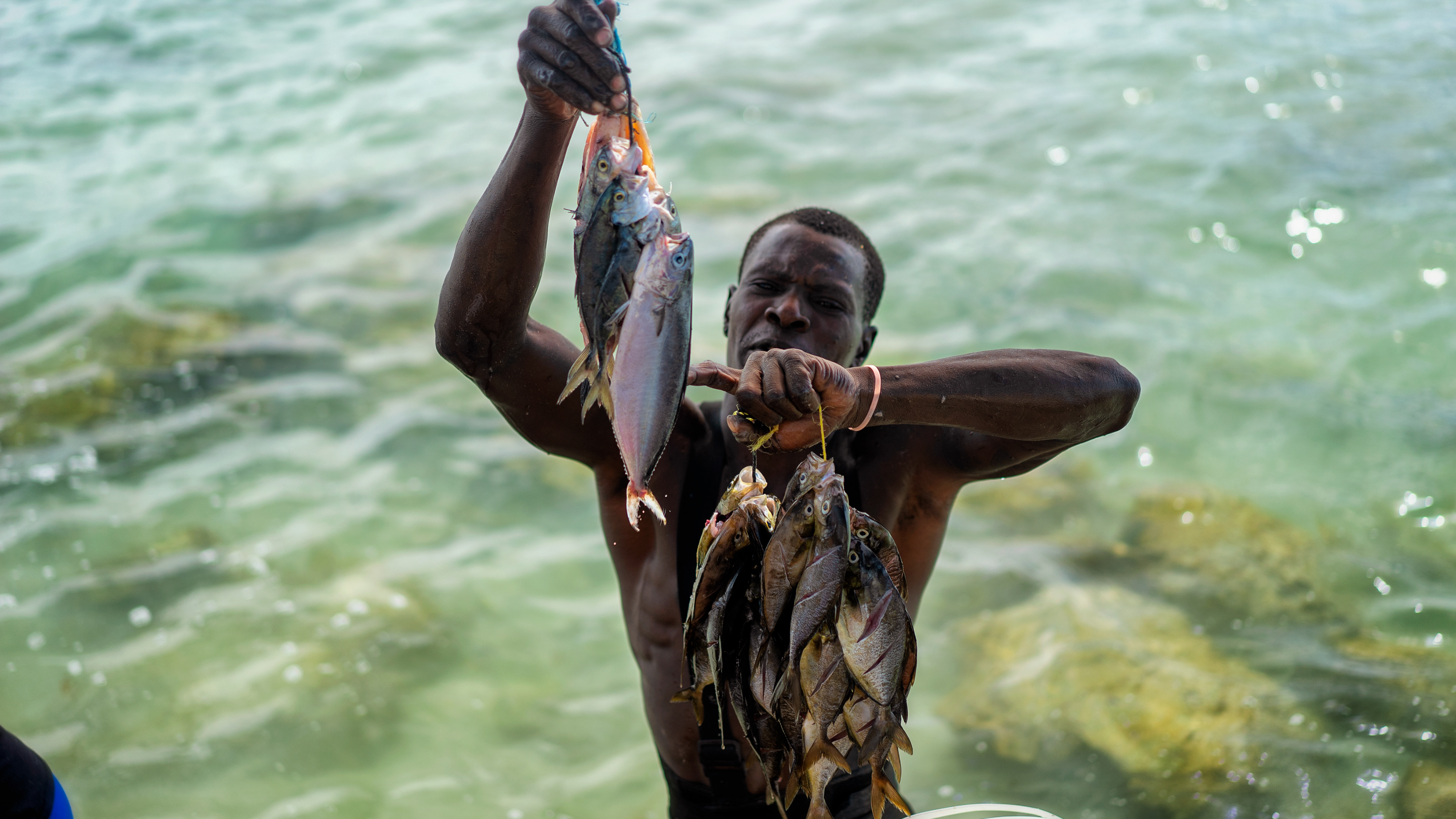 Pescador que vende peces a una restaurante en playa por menos que 1 dólar ellos solo la fritan y te la venden en 15 dólares. Fisherman from Dominican Republic