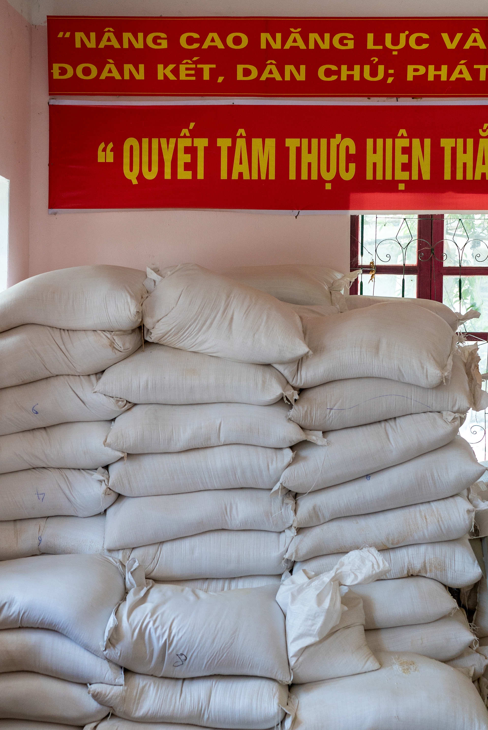 Guess what will be for lunch today?