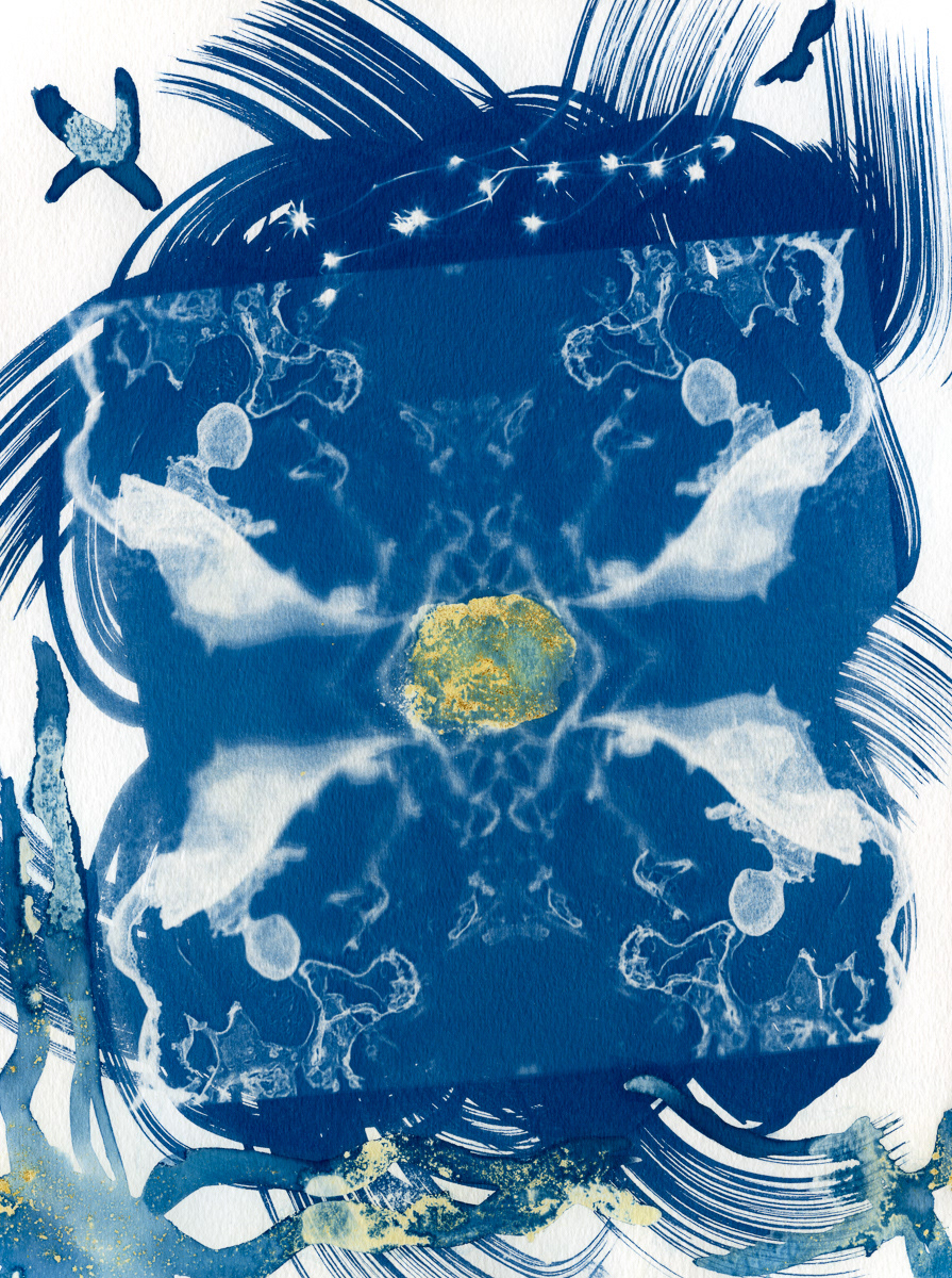 Noyau