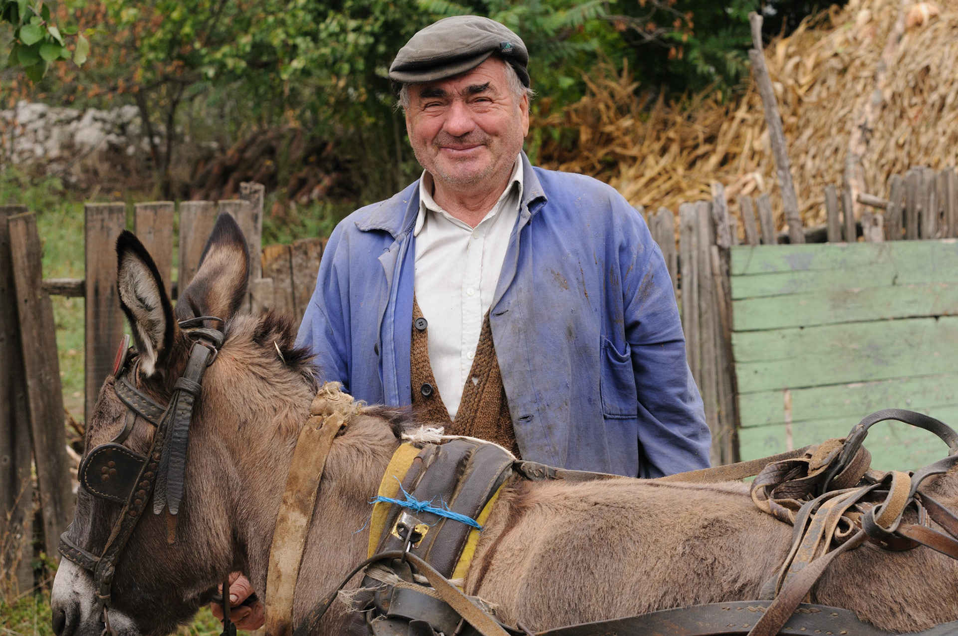 Proud of his donkey