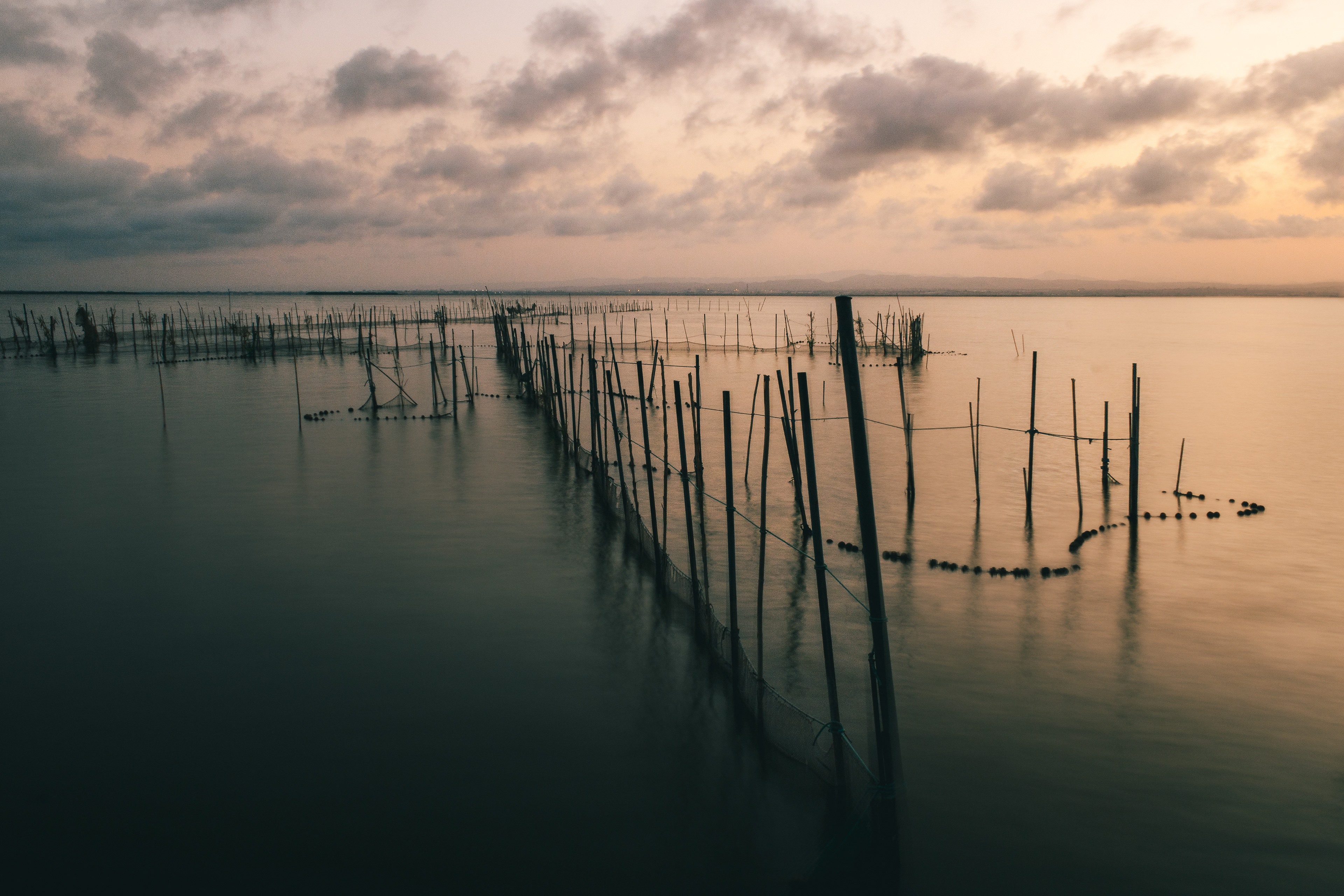 ATARDECER EN LA ALBUFERA