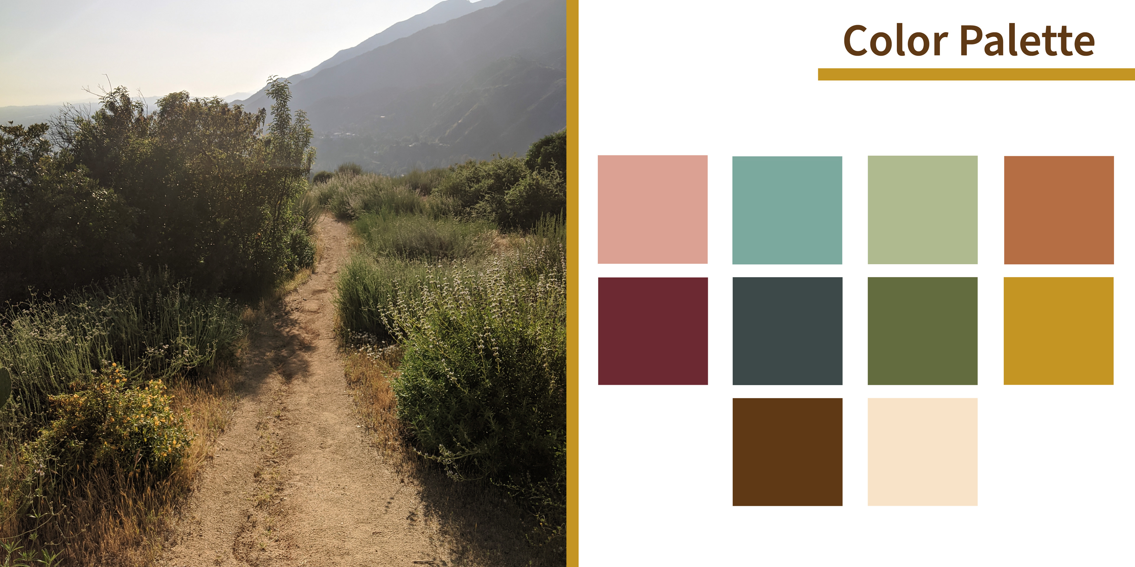 A rectangular image split down the middle with a gold bar to create two square spaces. On the left is a photograph taken by the artist of a hiking trail in the Los Angeles Forest. On the right is the header that reads "Color Palette" and below it are ten squares set in a grid showing the different colors used for the project.