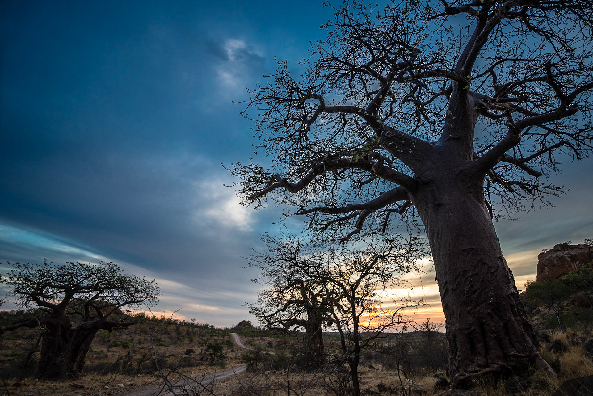 Mapungubwe National Park, South Africa, 2014