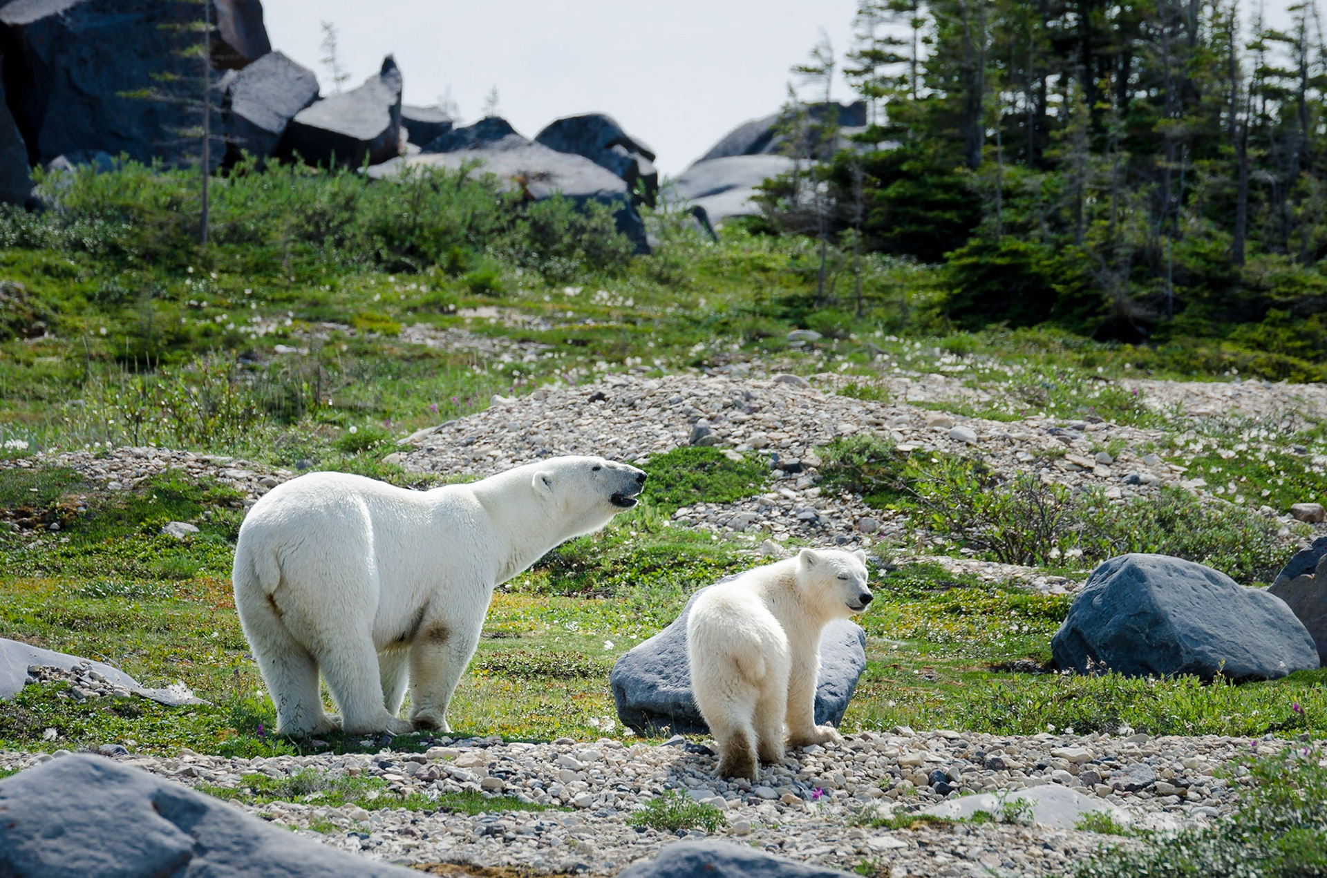 Churchill, Manitoba, Canada