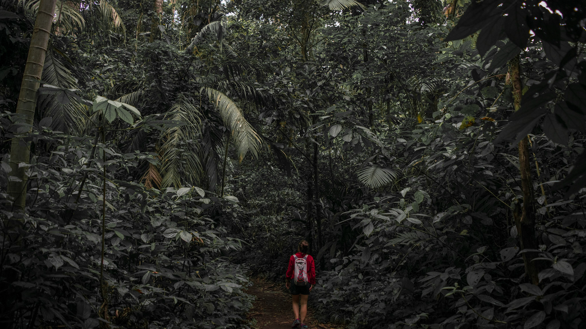Arenal National Park, Costa Rica