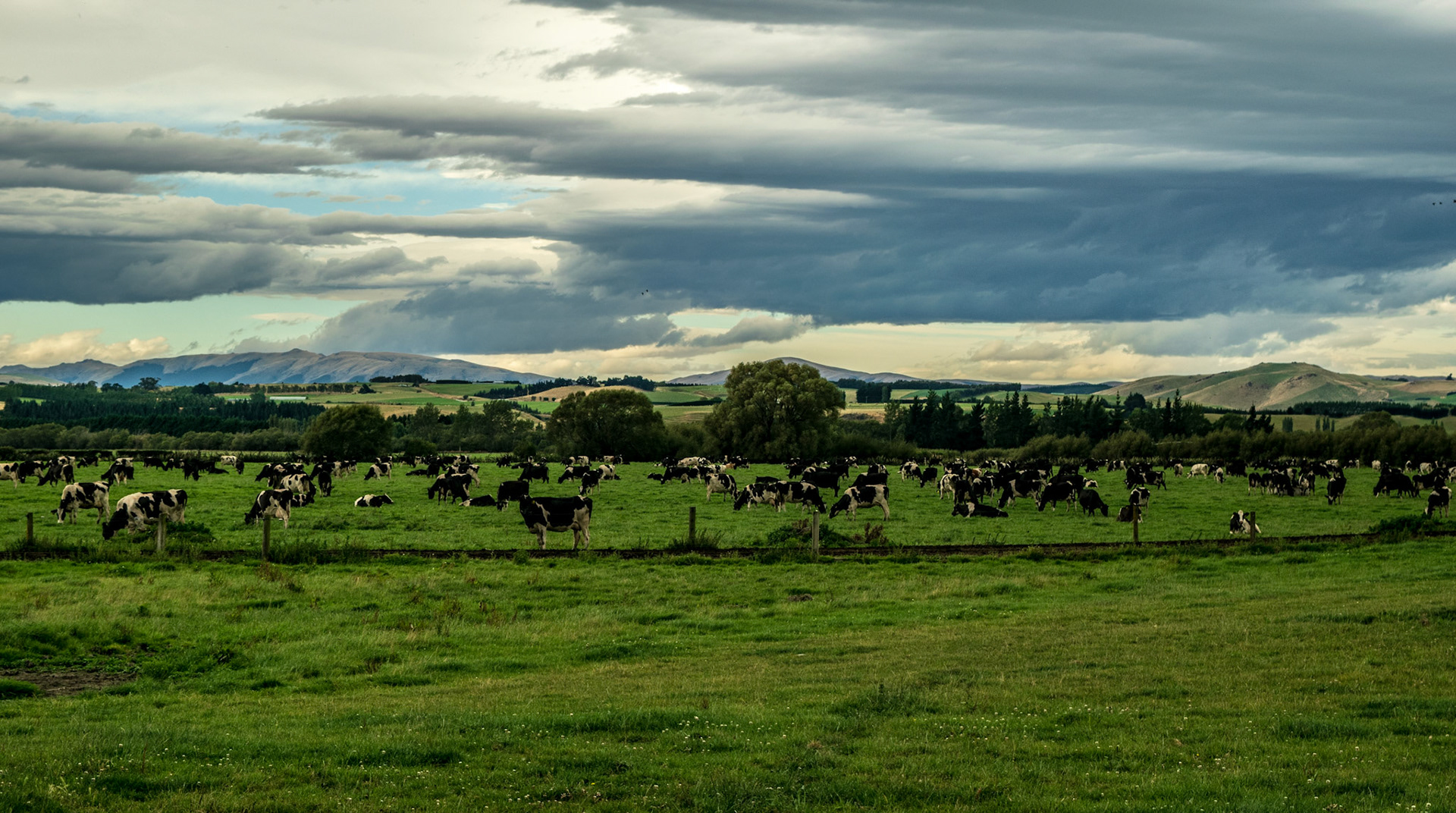 Mandeville, New Zealand