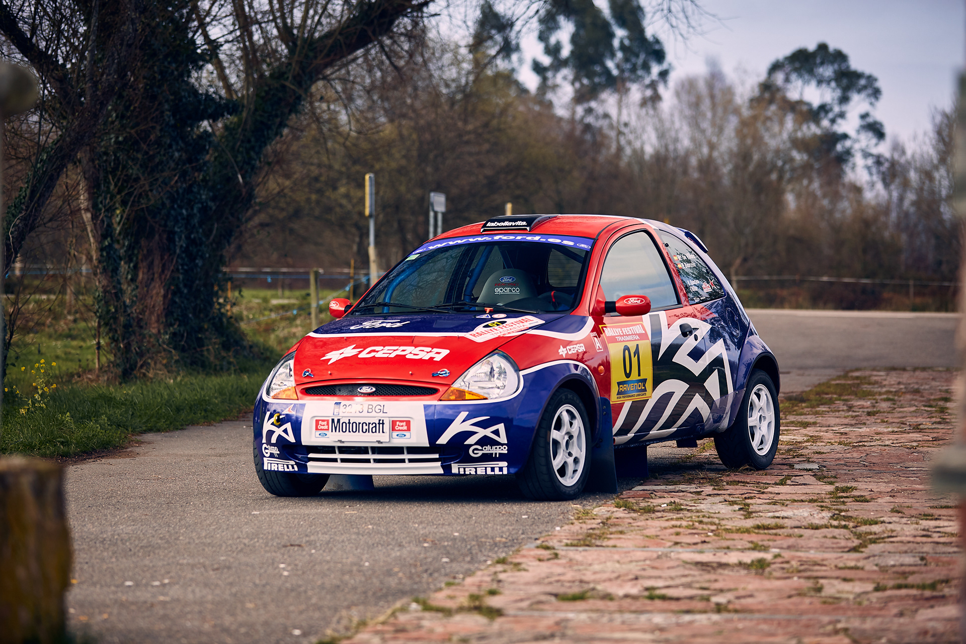 Andylaviana - Ford Ka rally car