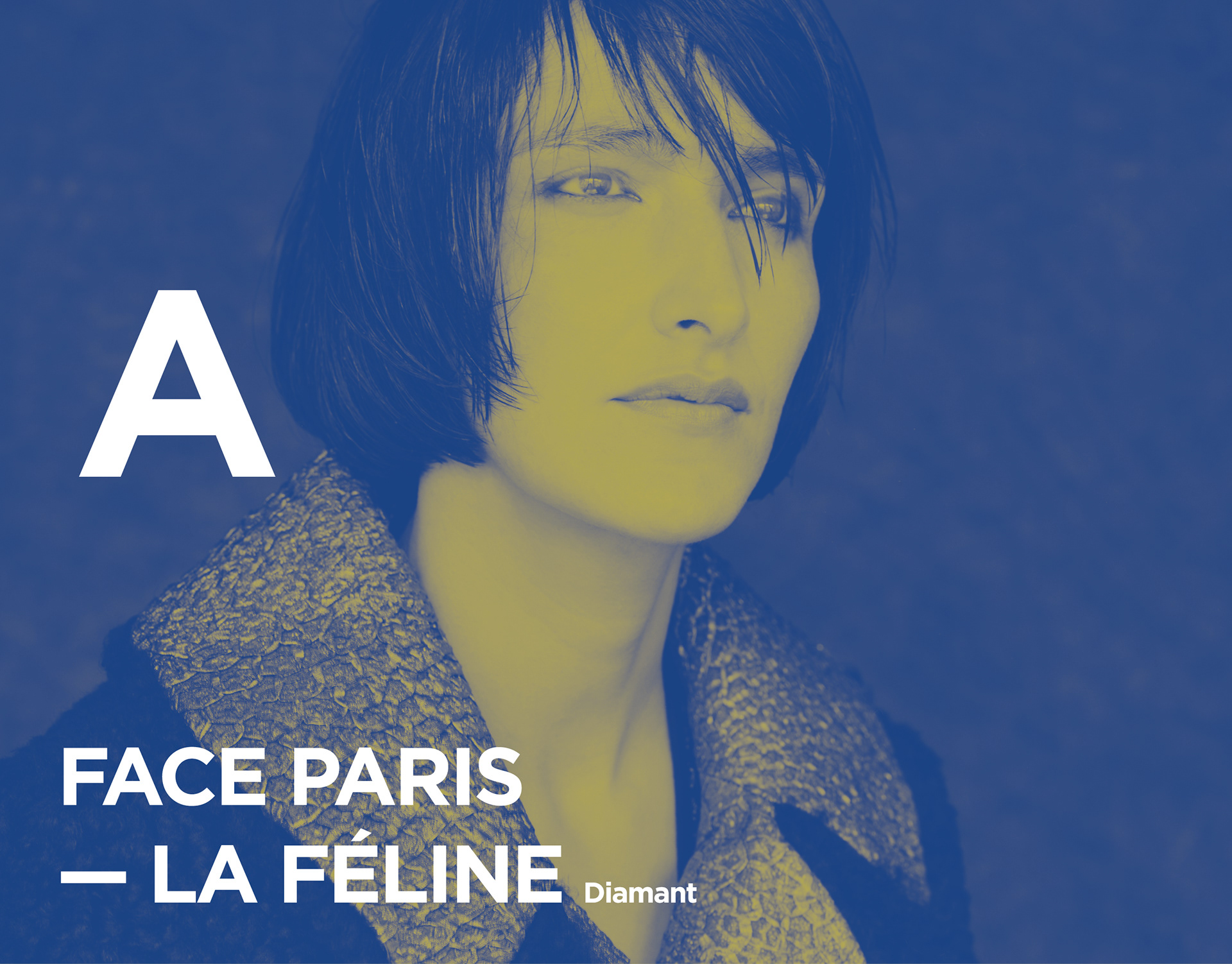 Shebam - Design Graphique - Nancy - Damien Raymond - Paul Filippi