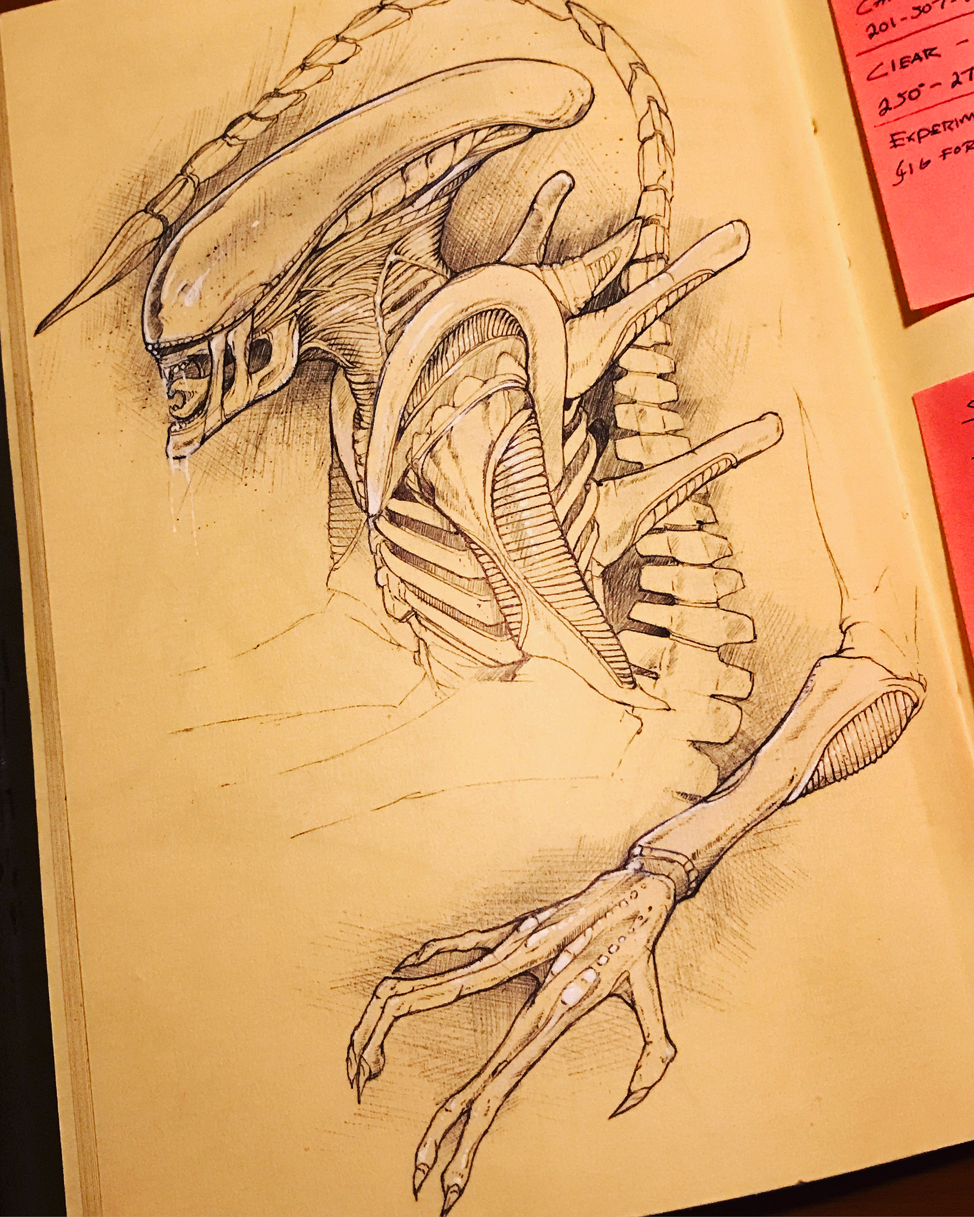 Jonathan Osborne Alien Xenomorph Sketches