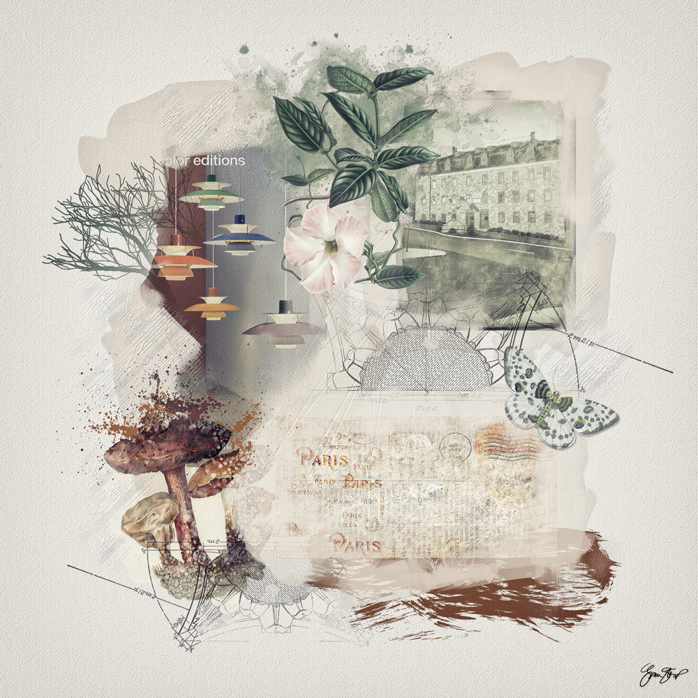 Mixed media Collage Art by Gina Startup