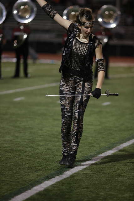 field 2012